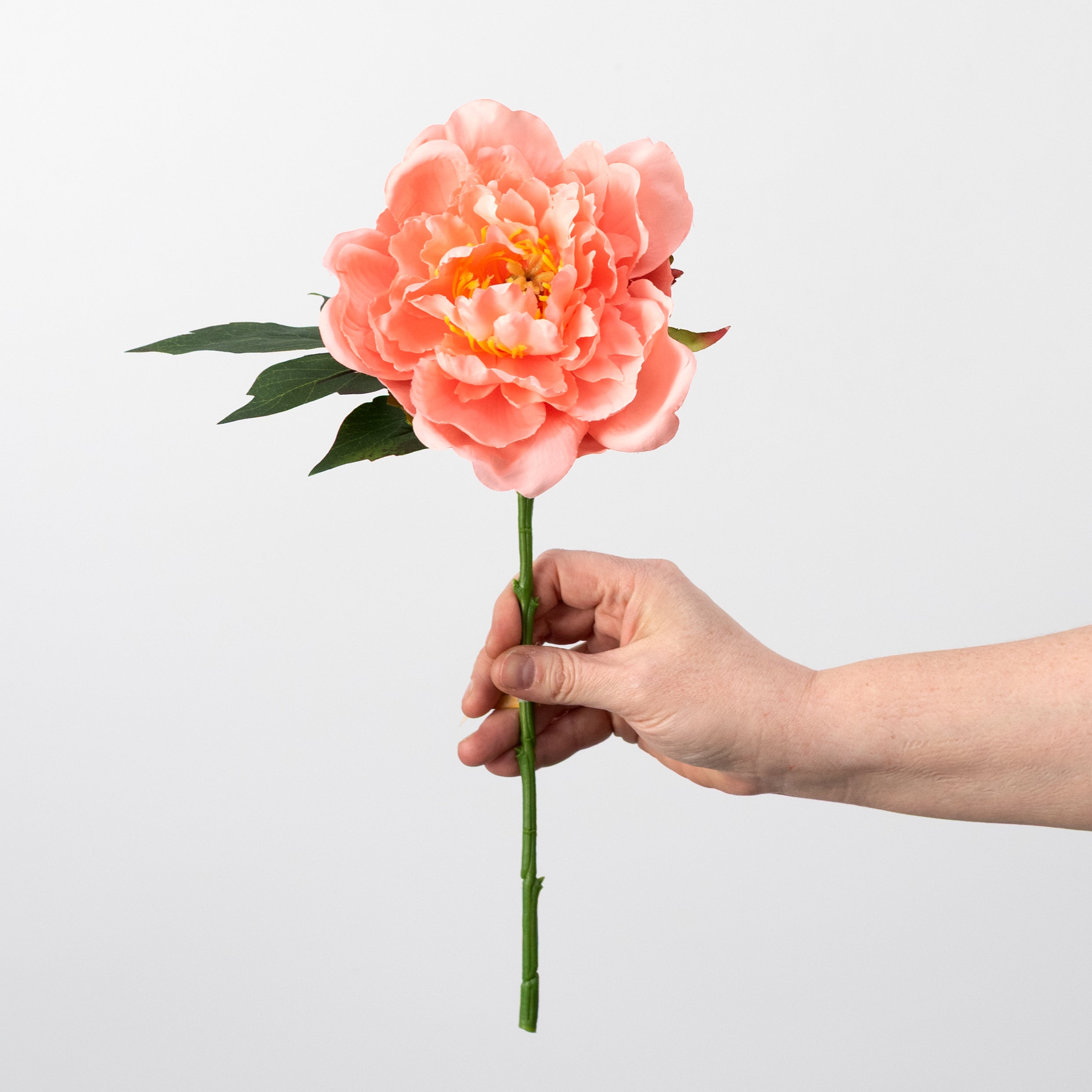 13" Short Stem Peony Flower: Coral detail photo 3