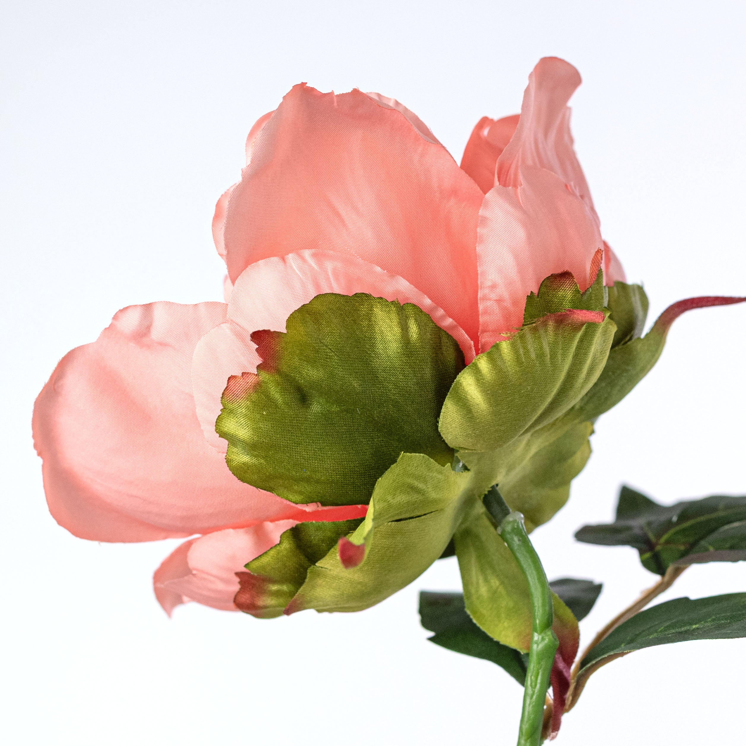 13" Short Stem Peony Flower: Coral detail photo 4