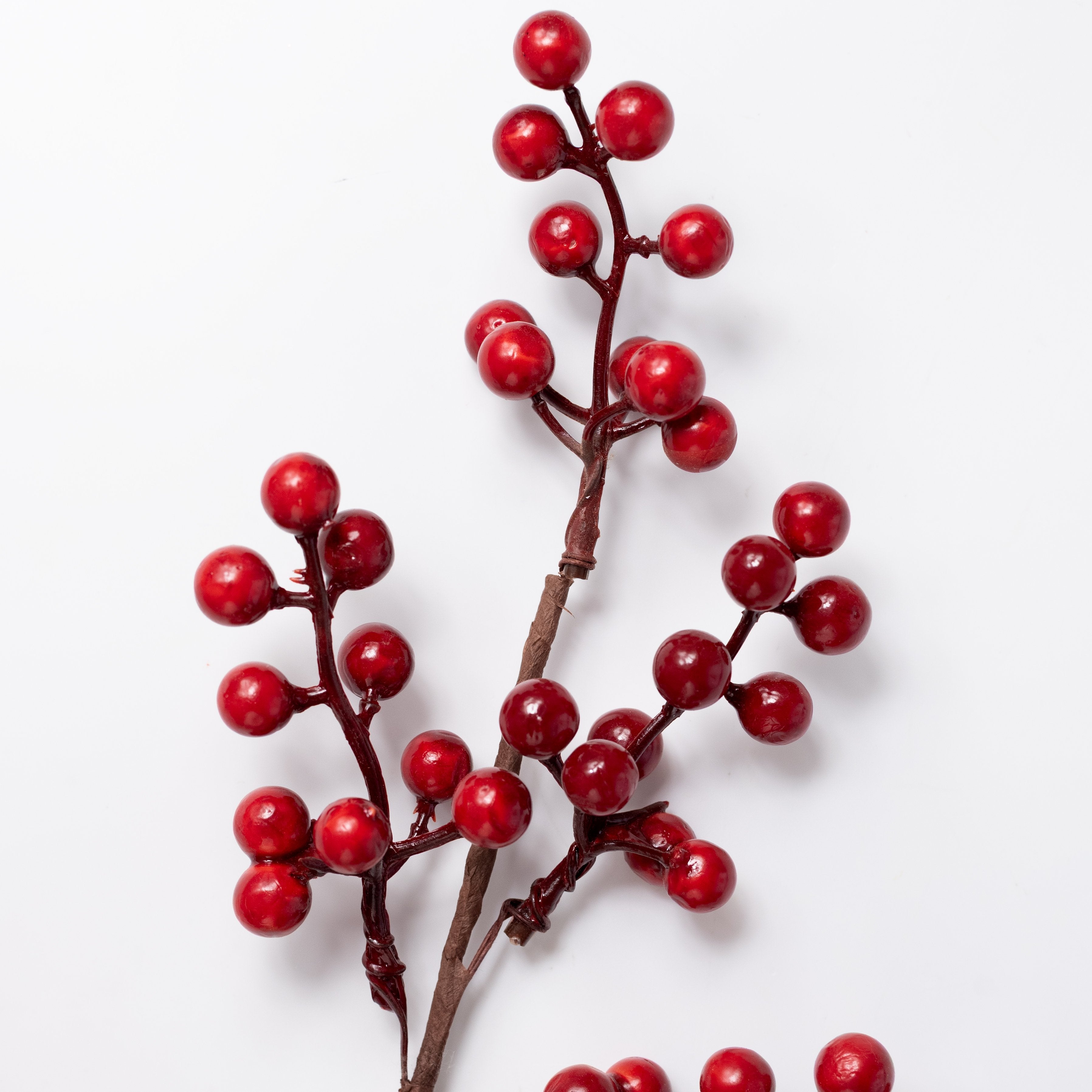 14" Berry Pick: Cranberry & Red Lifestyle Photo