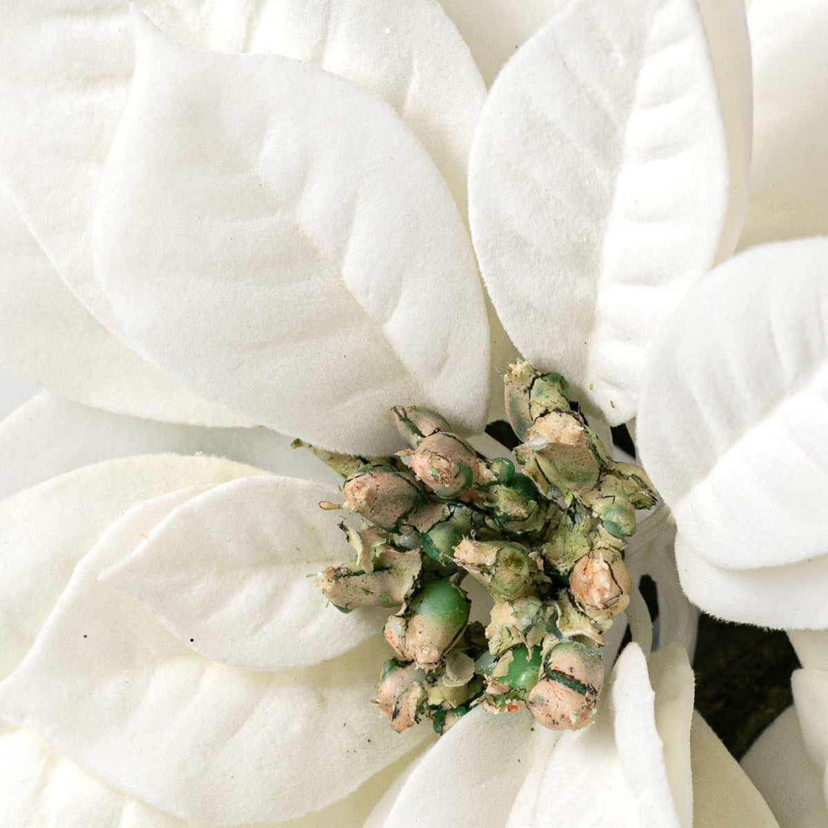 15" Deluxe Artificial Poinsettia Pick: White & Green Lifestyle Photo