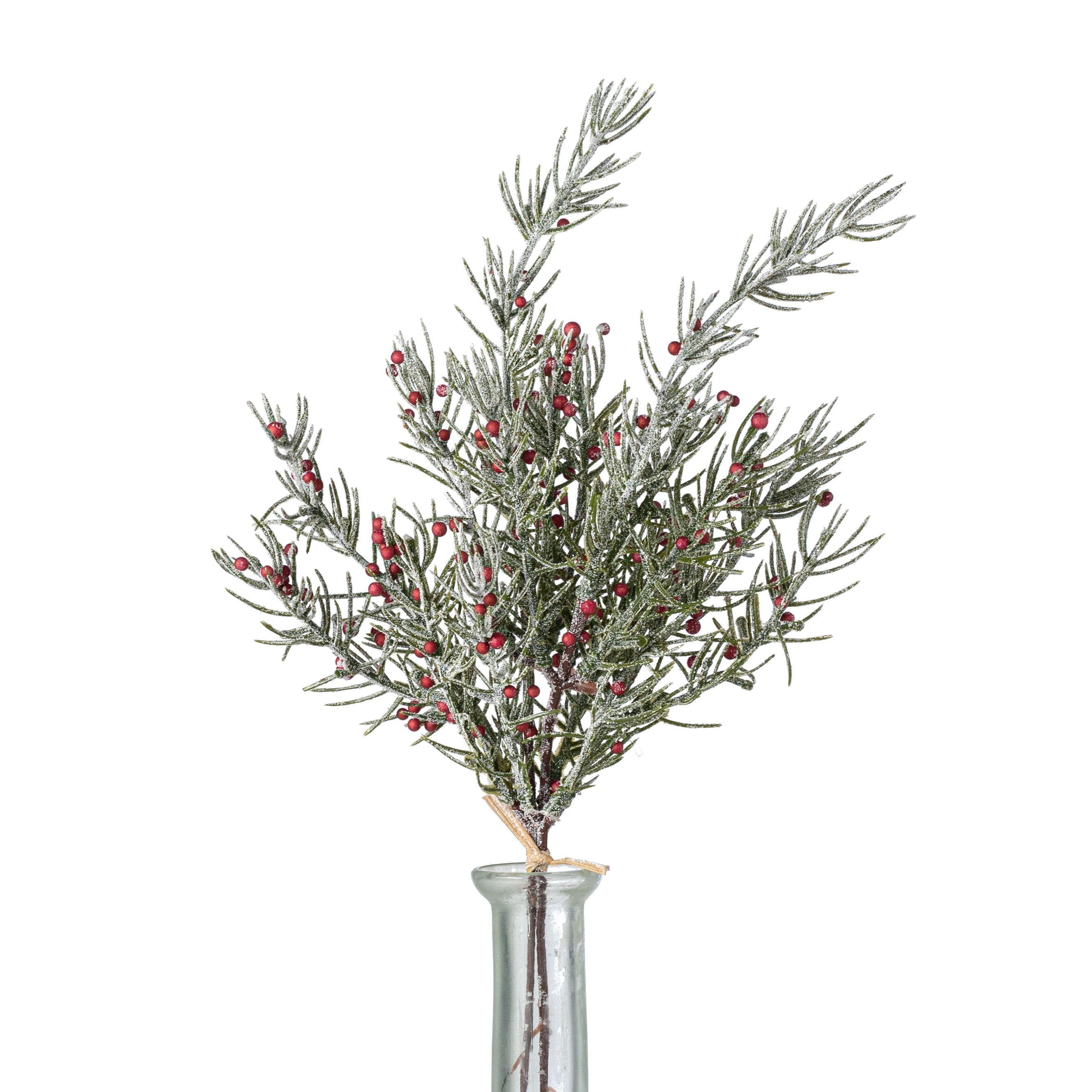 15" Frosted Berry Pine Bundle: Red (2 Stem) Item Number: 2827196RD