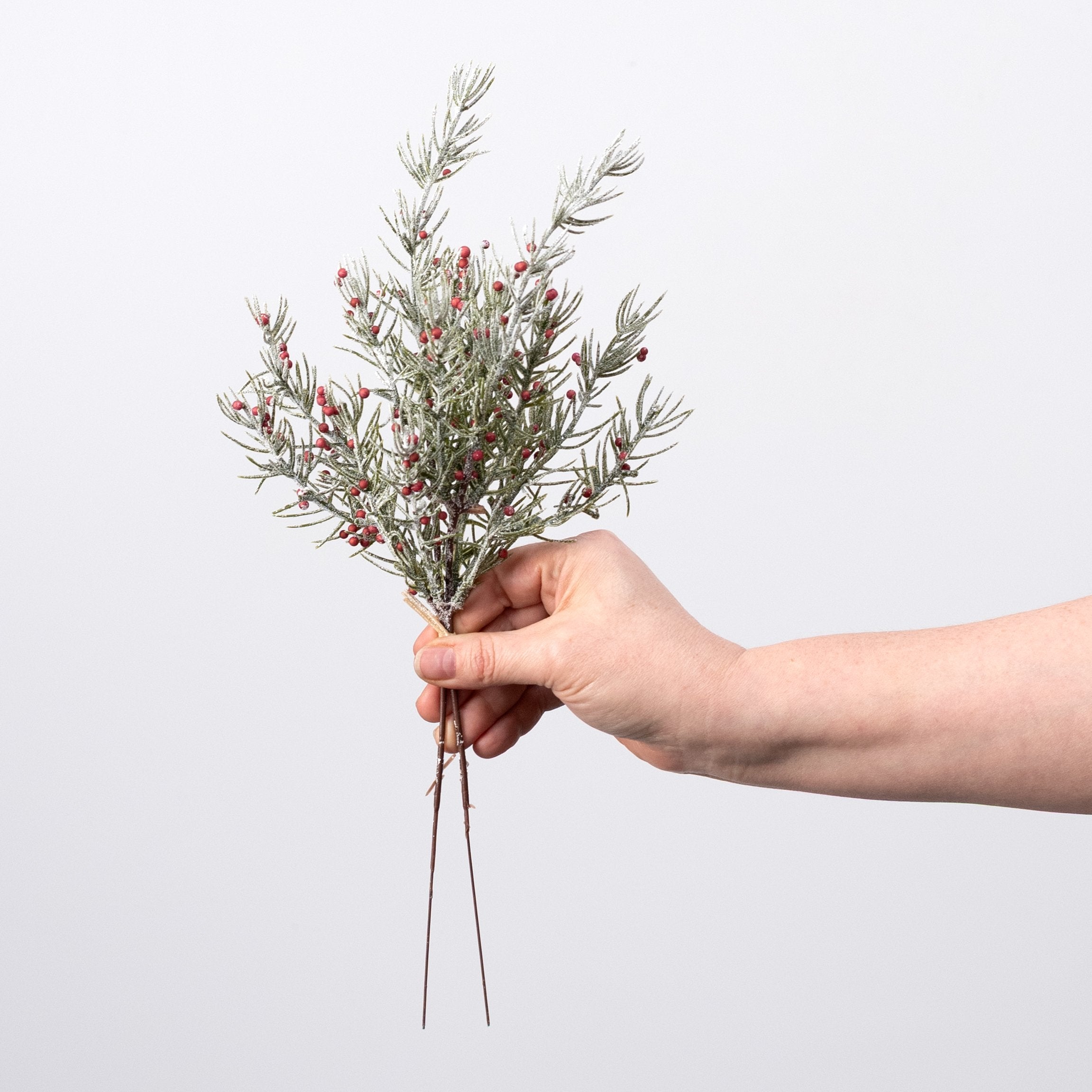 15" Frosted Berry Pine Bundle: Red (2 Stem) detail photo 3