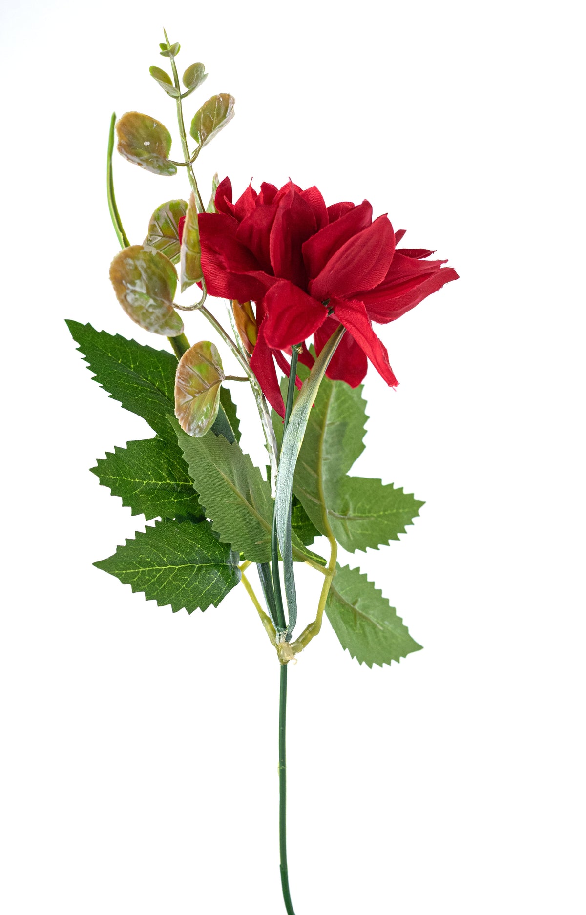 15" Mixed Dahlia Bush: Red detail photo 5