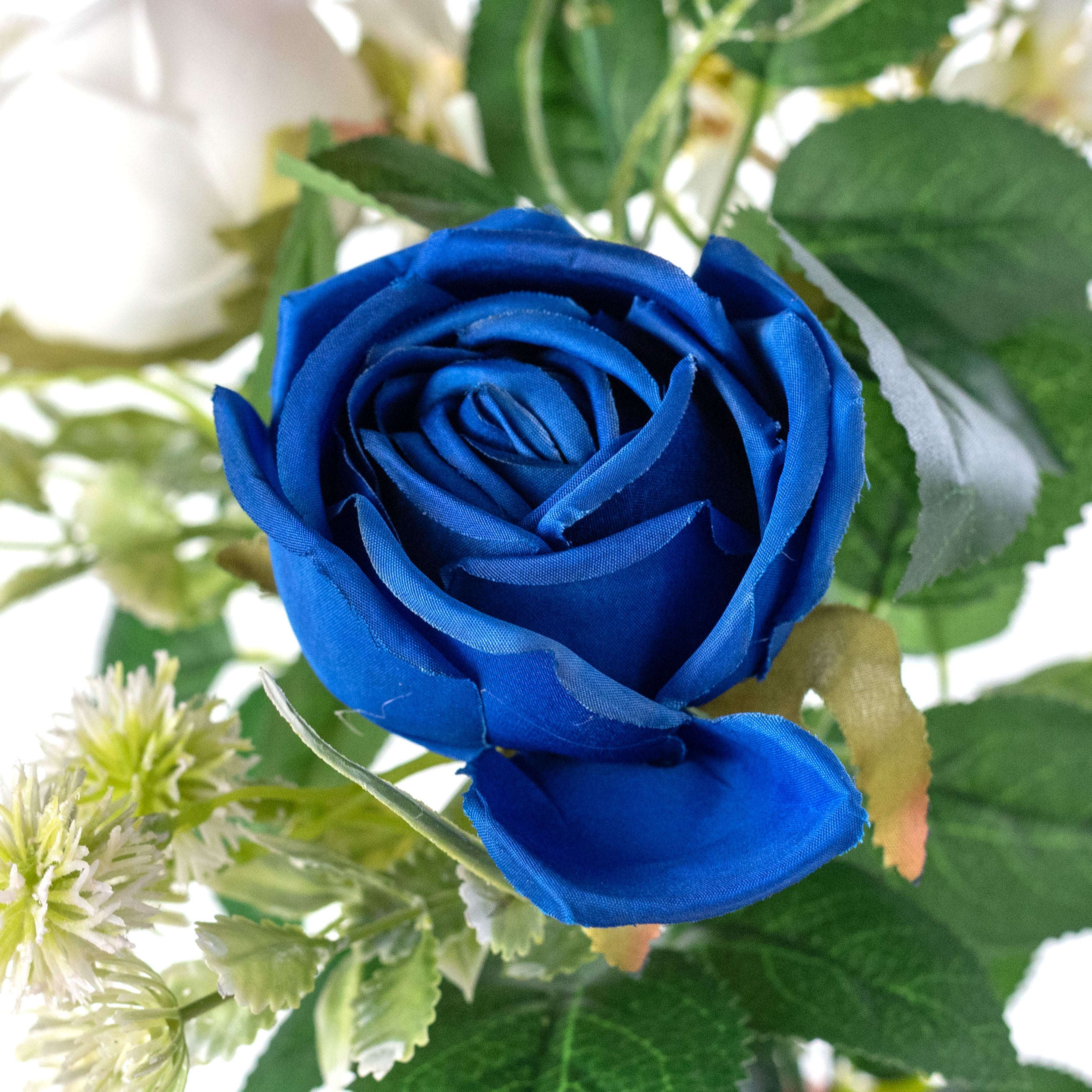 15" Mixed Roses Bush: Red, White & Blue Lifestyle Photo