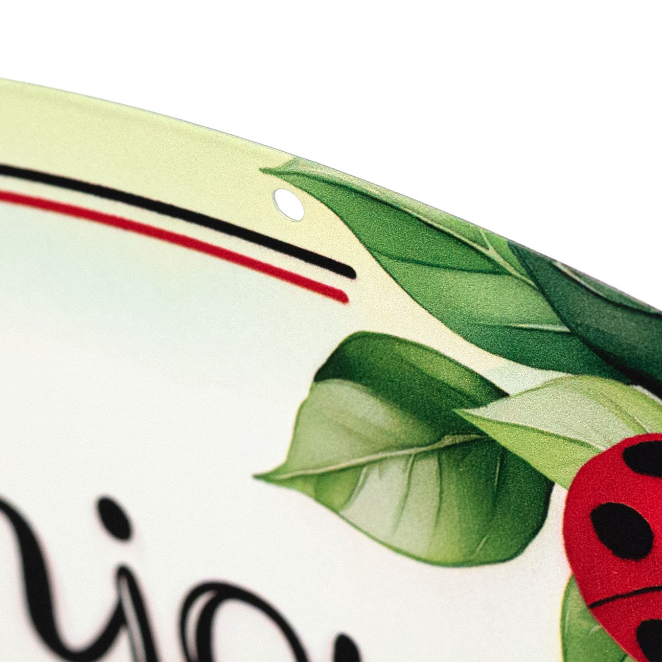 15" Oval Metal Sign: Ladybug Little Things detail photo 3