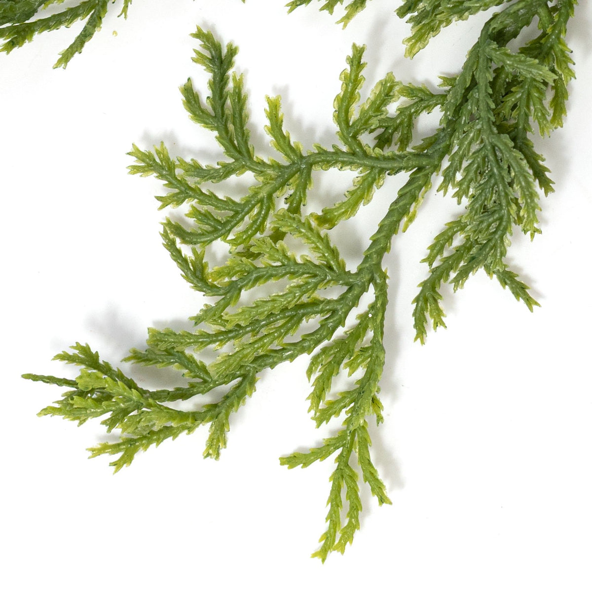 15" Soft Touch Evergreen Cedar Bundle detail photo 3