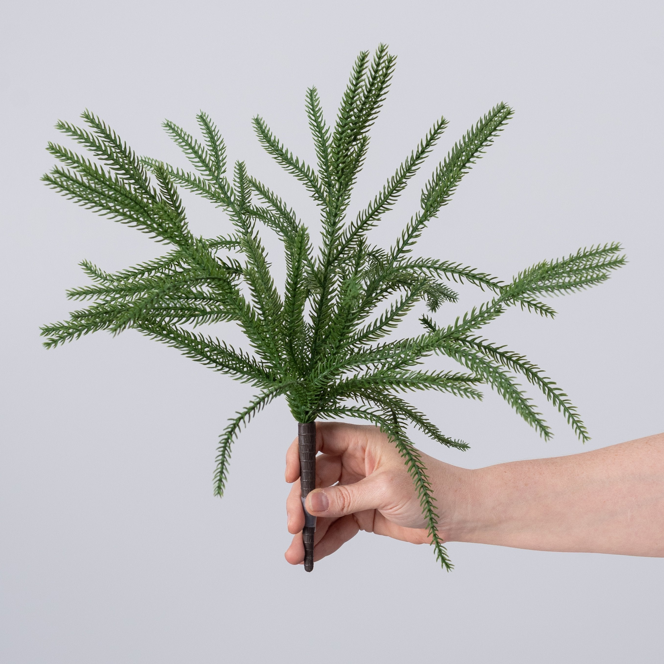 15" Soft Touch Norfolk Pine Bush: Evergreen detail photo 3