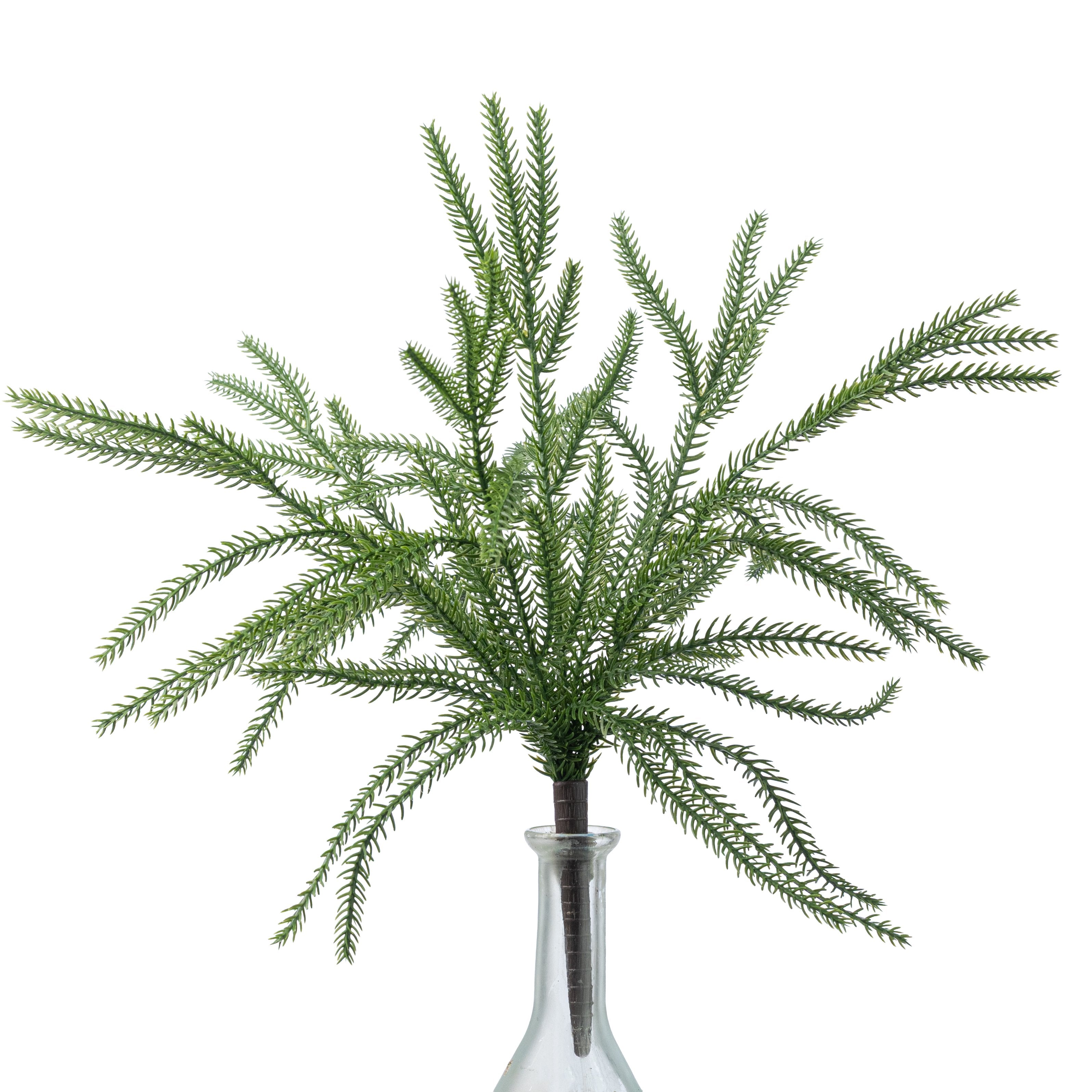 15" Soft Touch Norfolk Pine Bush: Evergreen Item Number: 512012