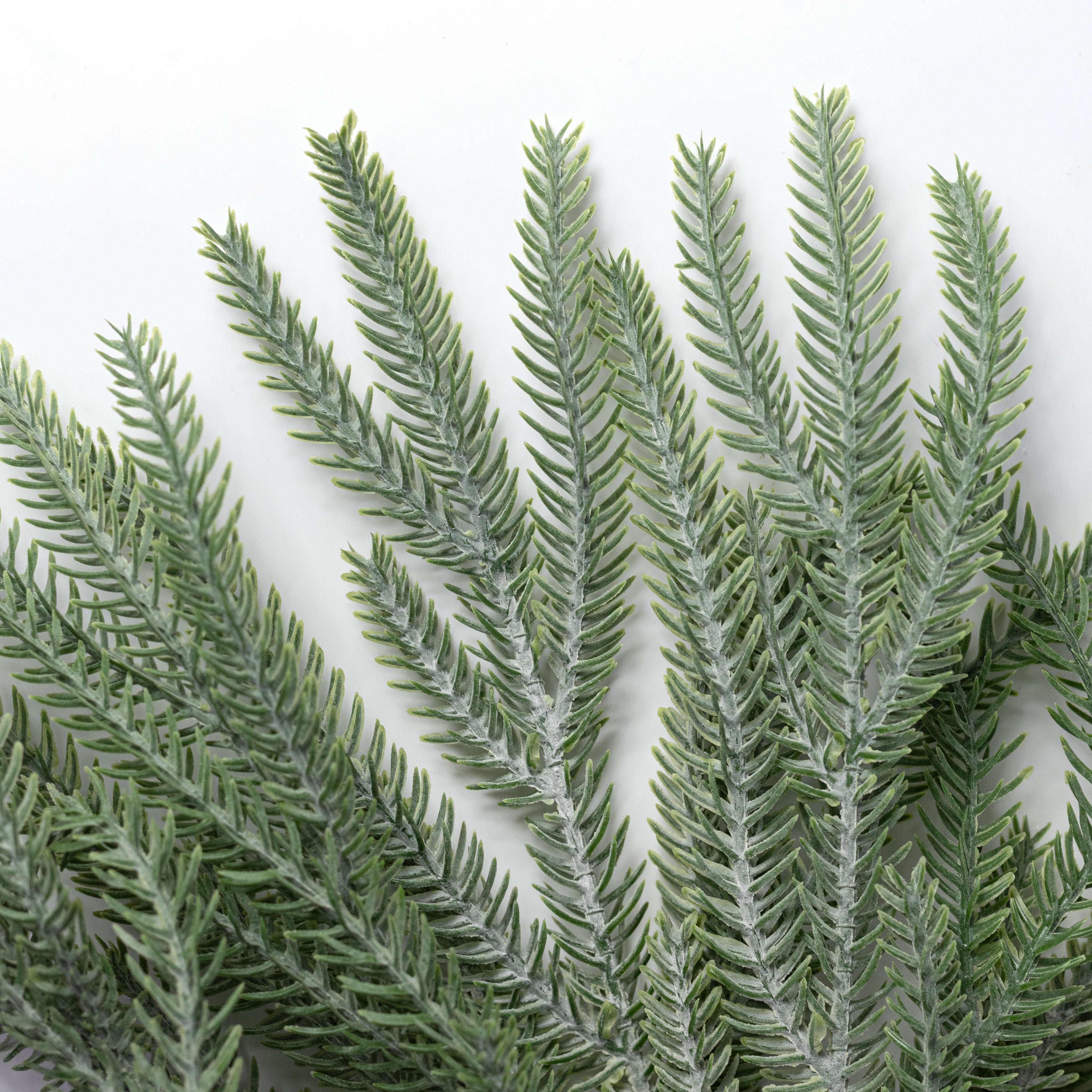 15" Soft Touch Norfolk Pine Bush: Powdered Green Lifestyle Photo