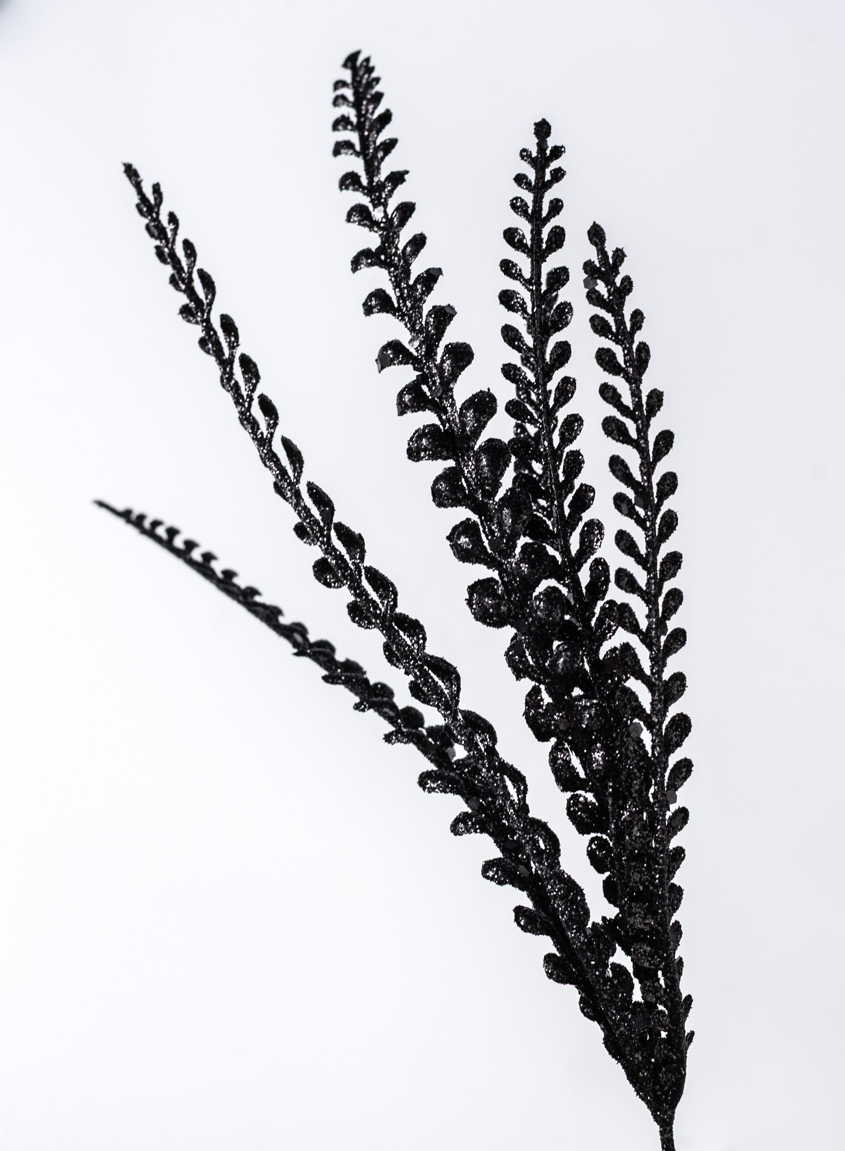 16" Glitter Plastic Button Fern Bush: Black (5 Stem) detail photo 4