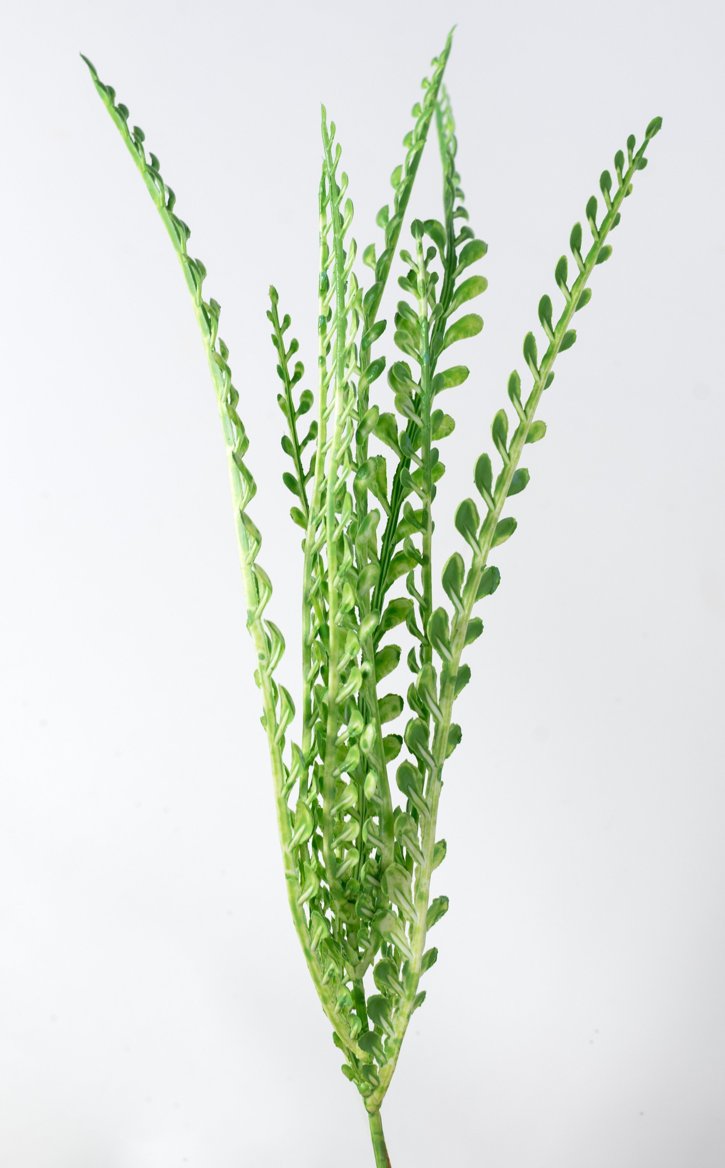 16" Plastic Leaf Button Fern Bush: Green (5 Stem) detail photo 4