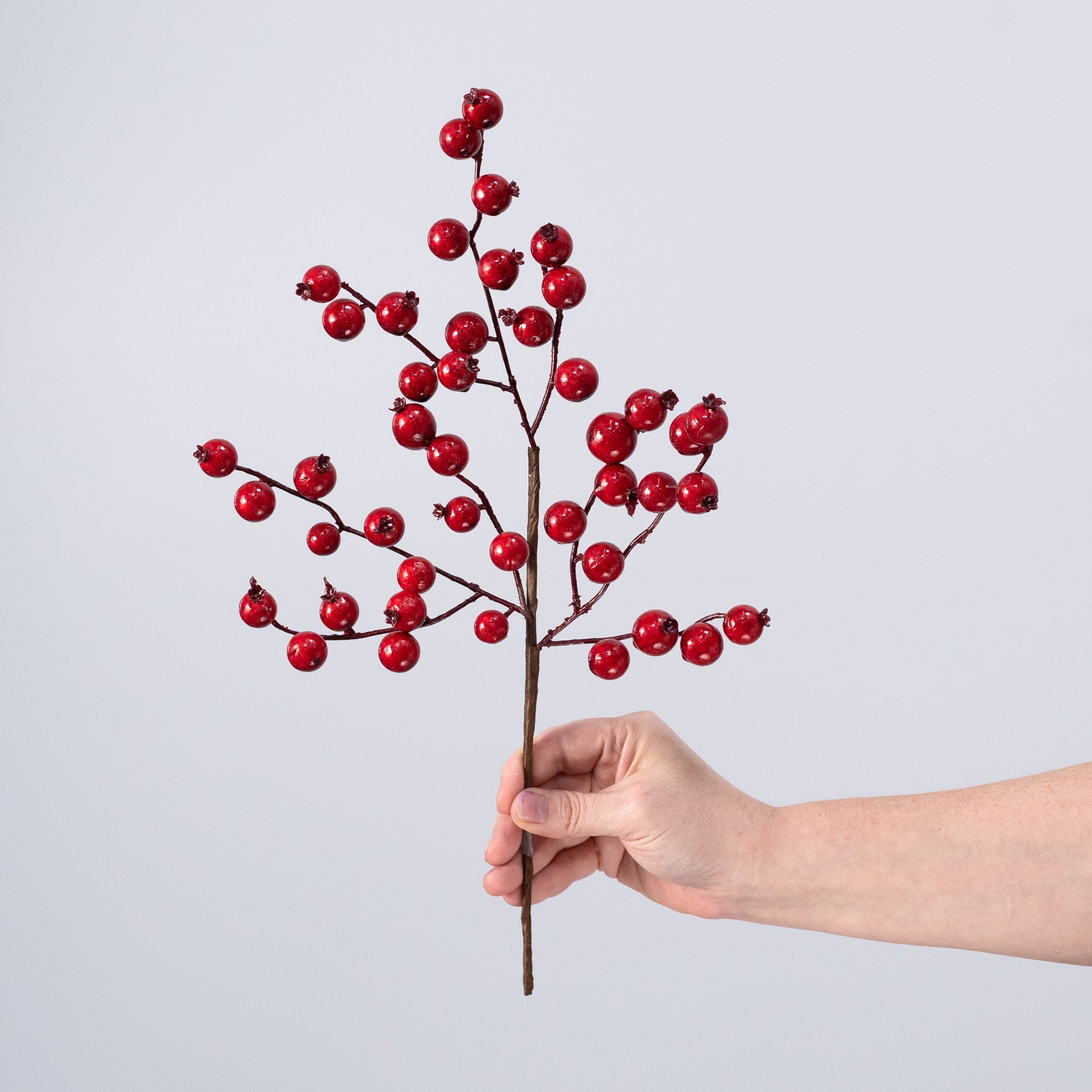 16" Weather Resistant Cranberry Pick: Red detail photo 3