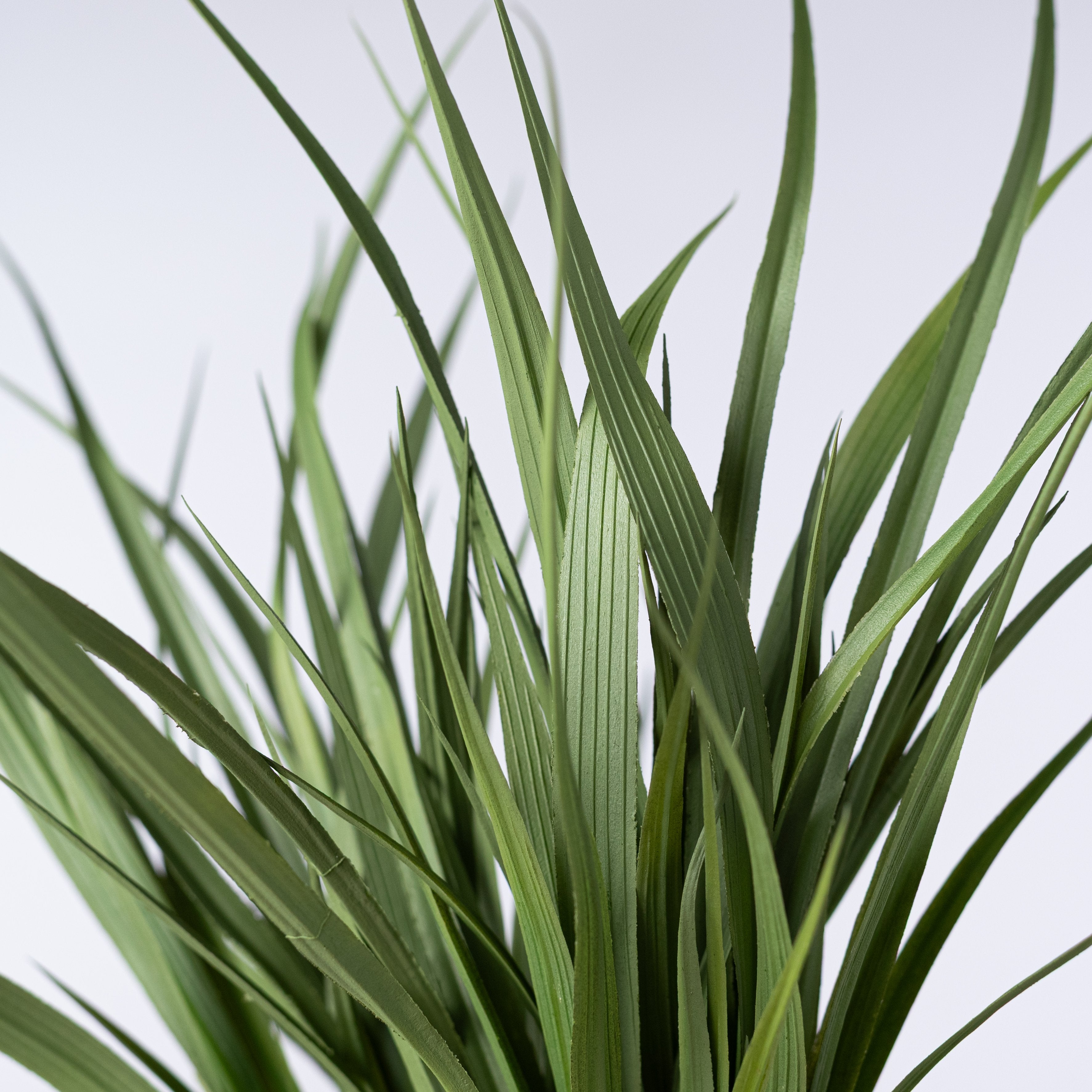 16" Wide-Grass Bush: Two-Tone Green Lifestyle Photo