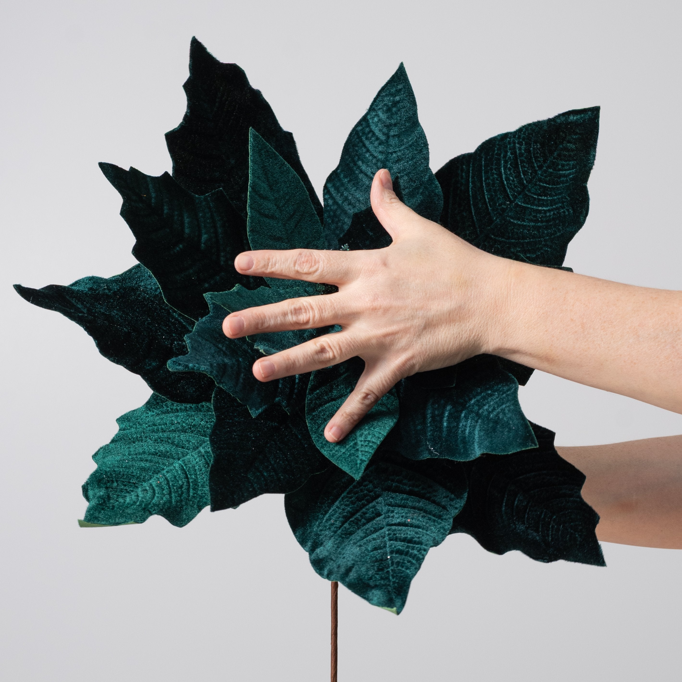 17" x 20" Jumbo Poinsettia Stem: Deep Emerald Green Lifestyle Photo