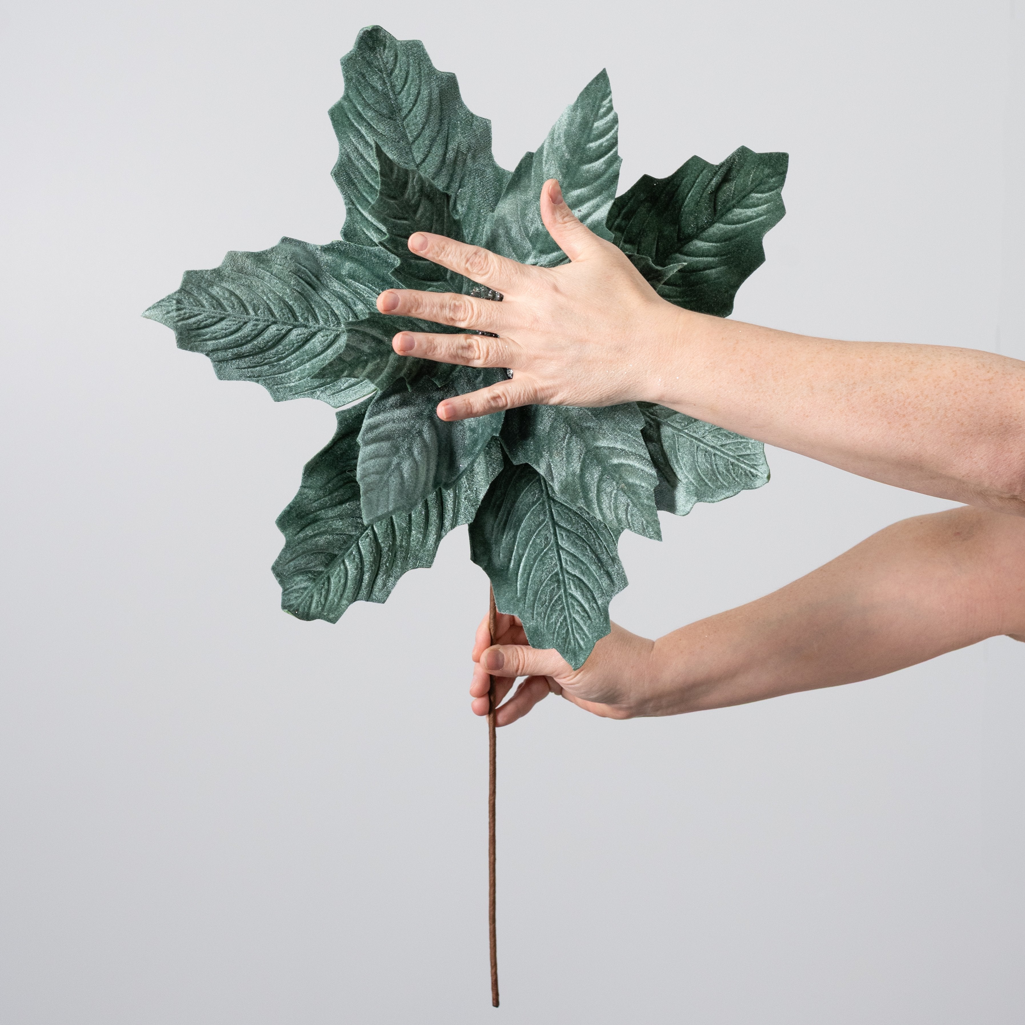 17" x 20" Jumbo Velvet Poinsettia Stem: Sage Green Lifestyle Photo