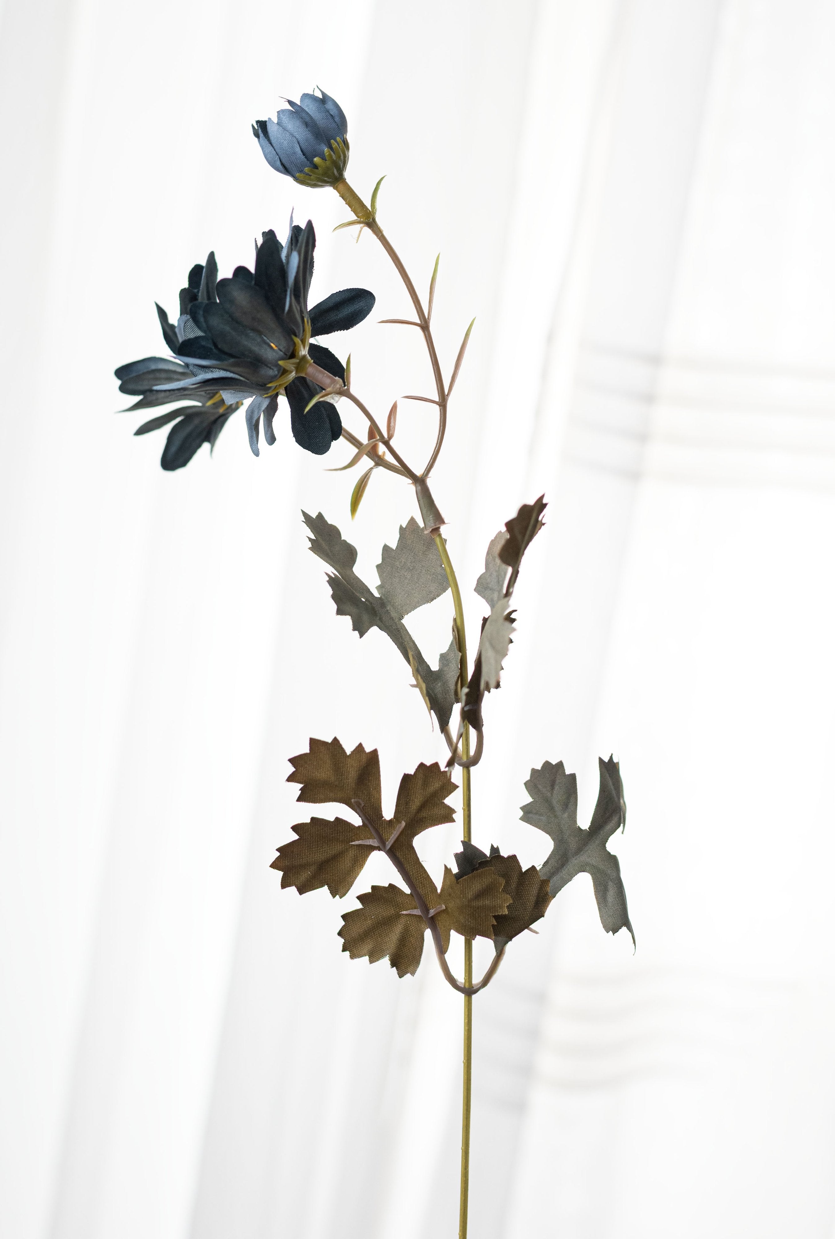 17" Chrysanthemum Bush: Smoke Blue (12 Stem) detail photo 4
