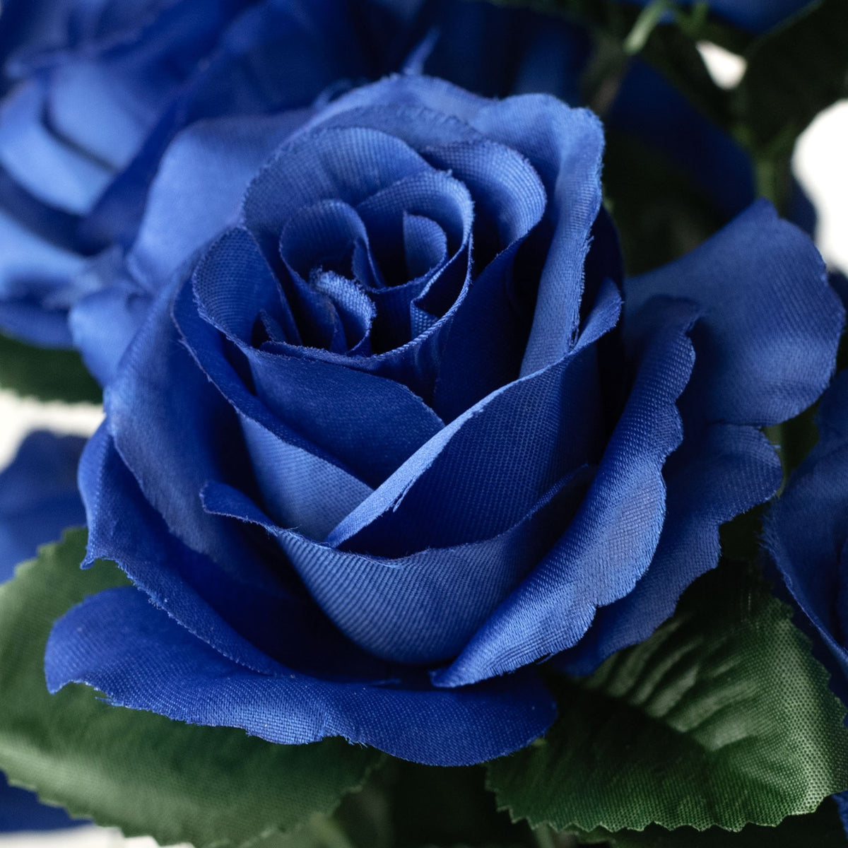 17" Colorfast Lillian Open Rose Bush: Bright Blue Lifestyle Photo