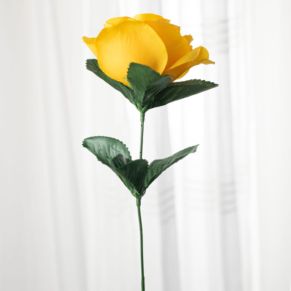 17" Colorfast Lillian Open Rose Bush: Golden Yellow detail photo 4