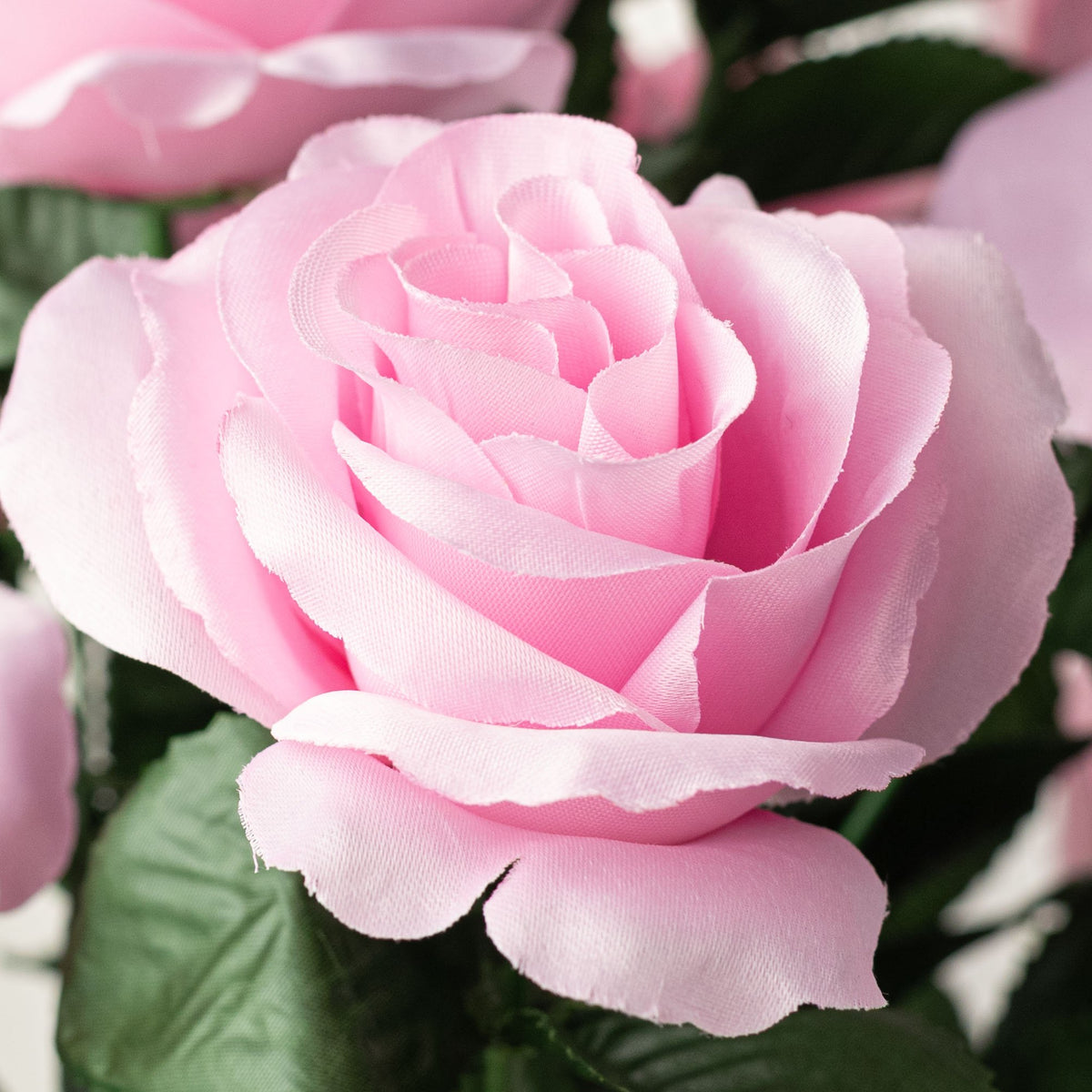 17" Colorfast Lillian Open Rose Bush: Pink Lifestyle Photo