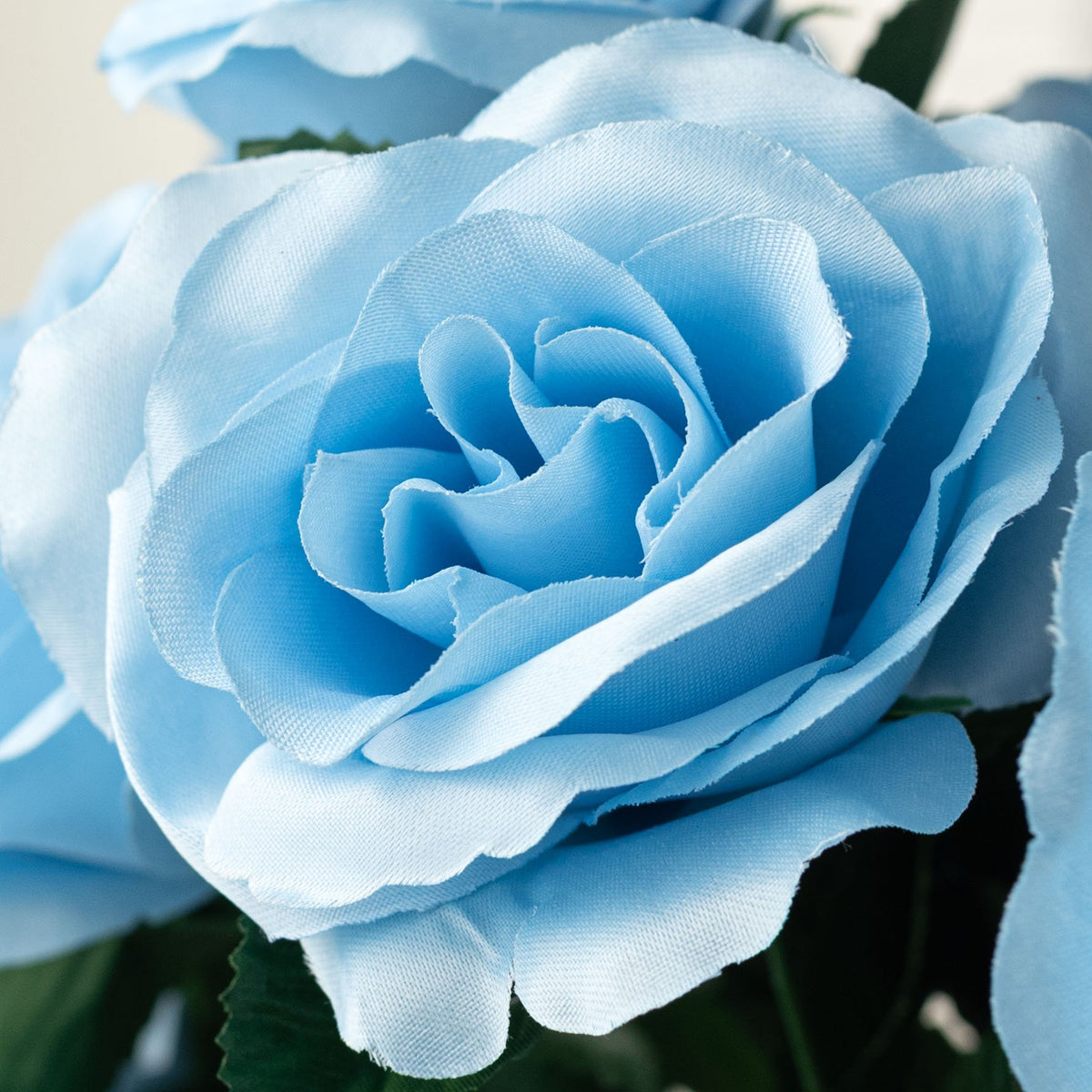 17" Colorfast Lillian Open Rose Bush: Serenity Blue Lifestyle Photo