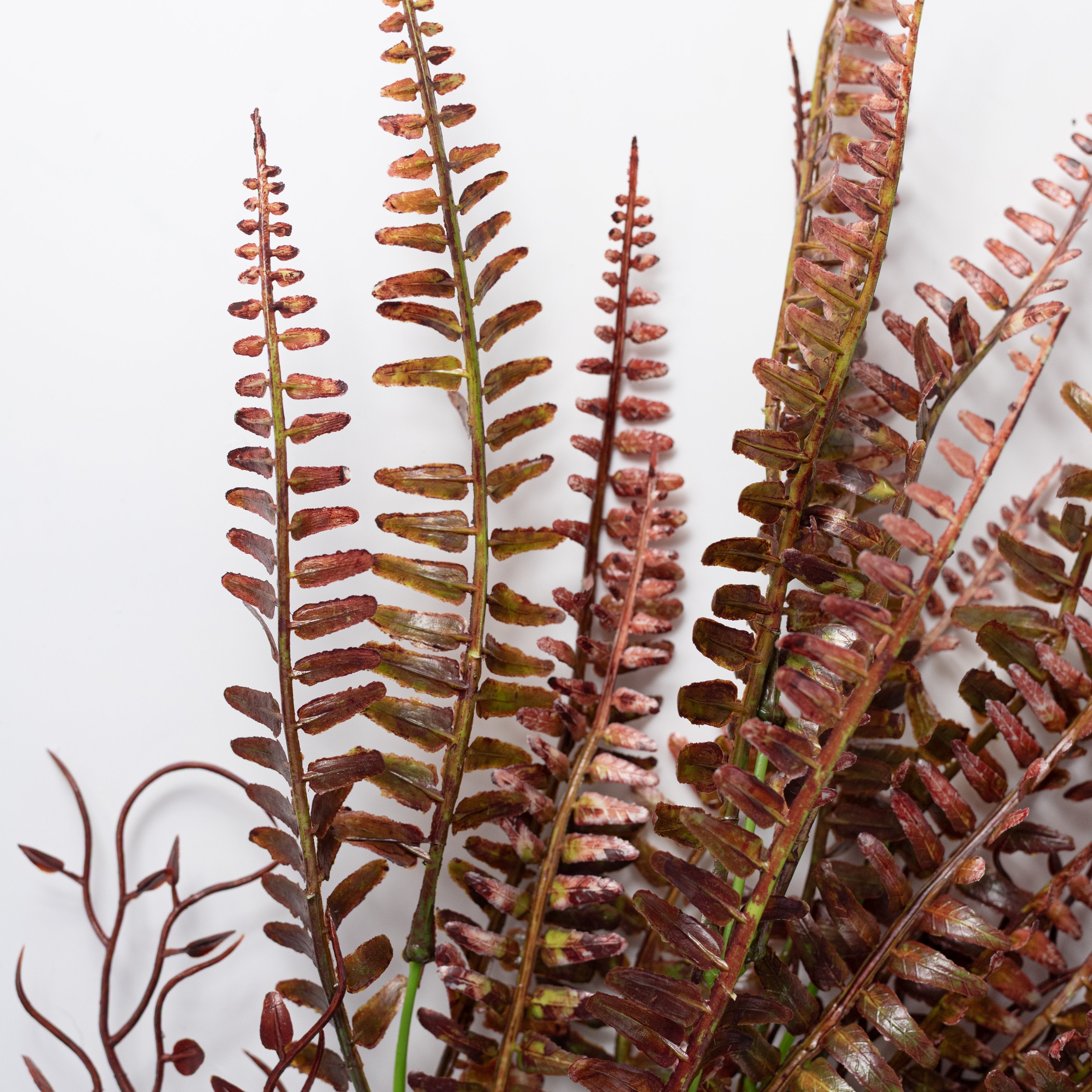 17" Fern with Vines Bush: Burgundy Lifestyle Photo