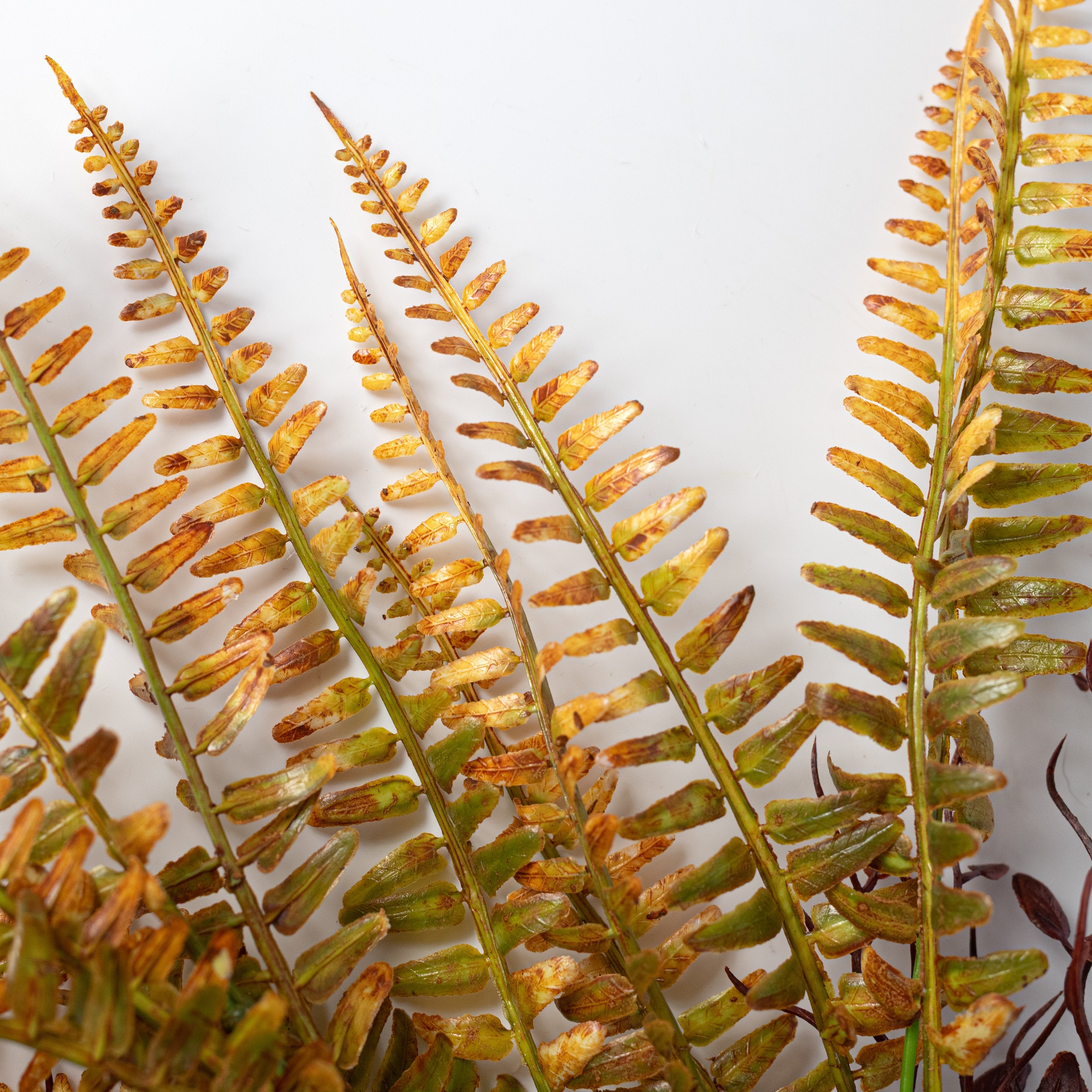 17" Fern with Vines Bush: Fall Harvest Lifestyle Photo