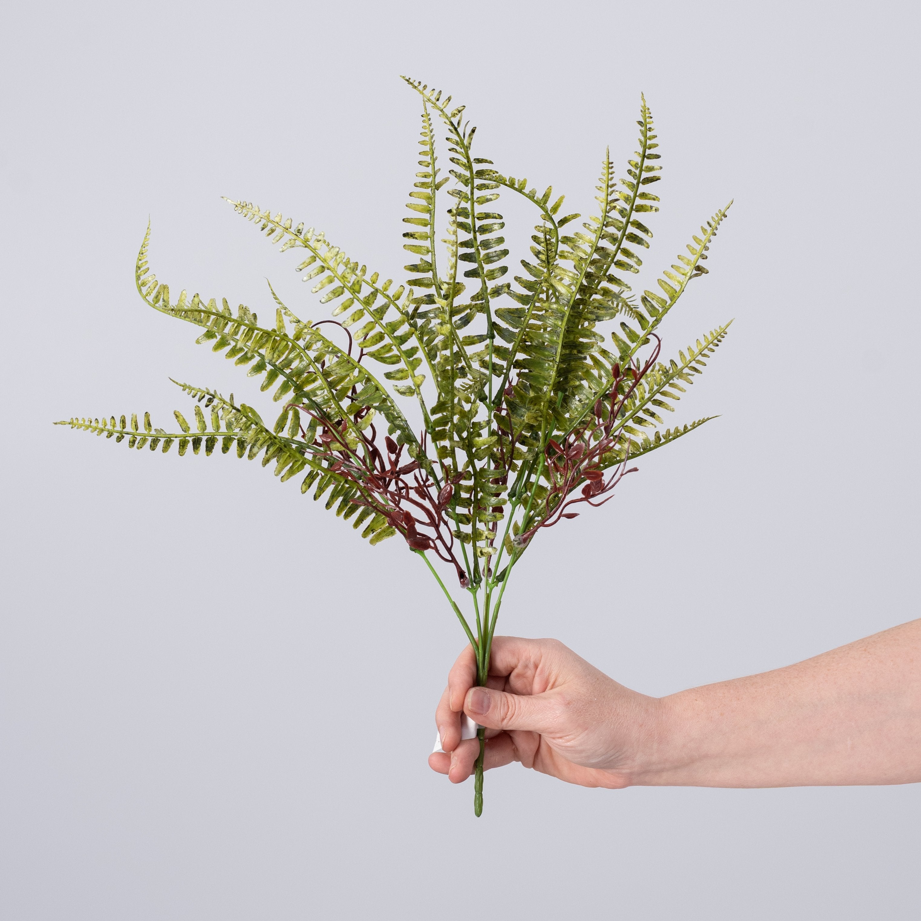 17" Fern with Vines Bush: Variegated Green detail photo 3