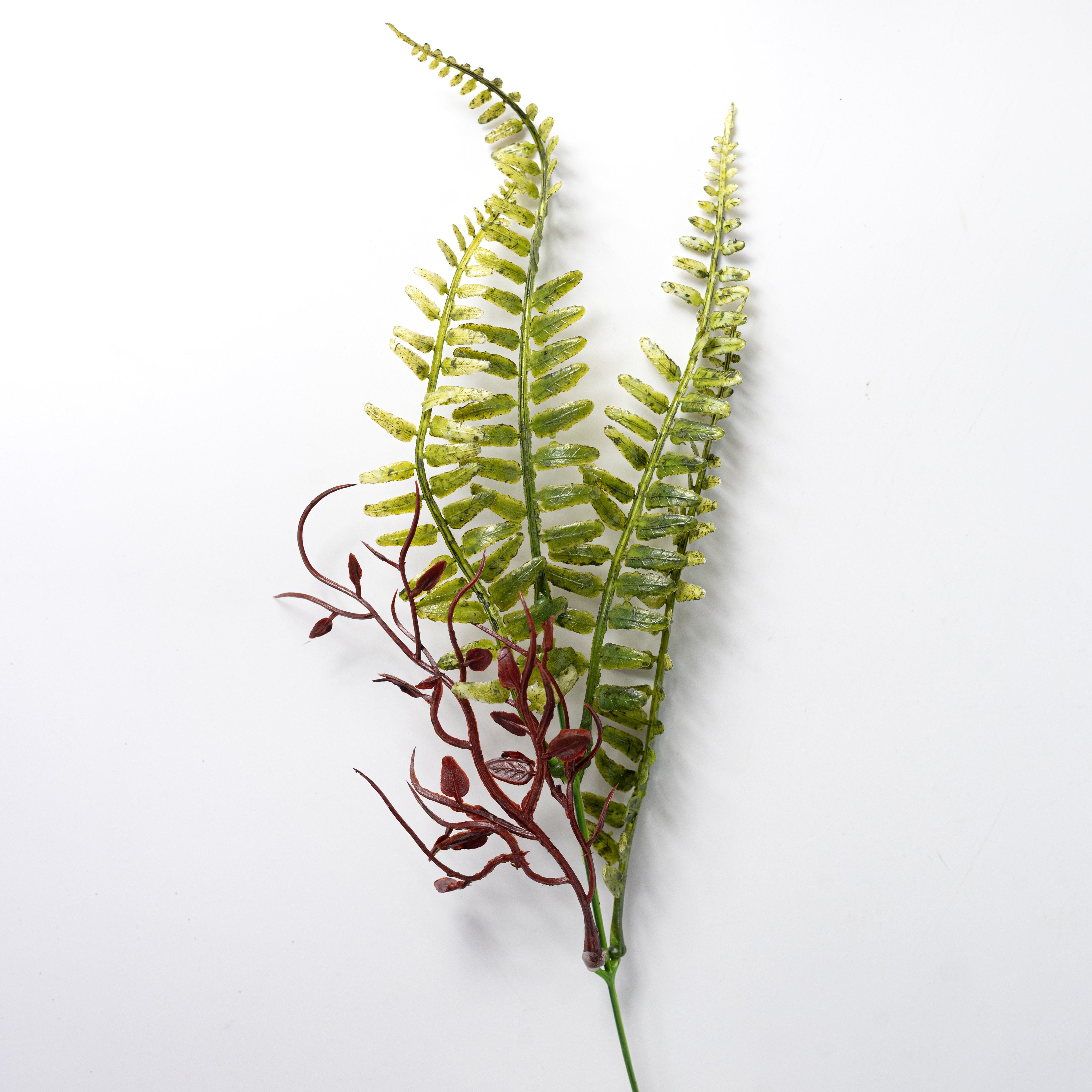 17" Fern with Vines Bush: Variegated Green detail photo 4