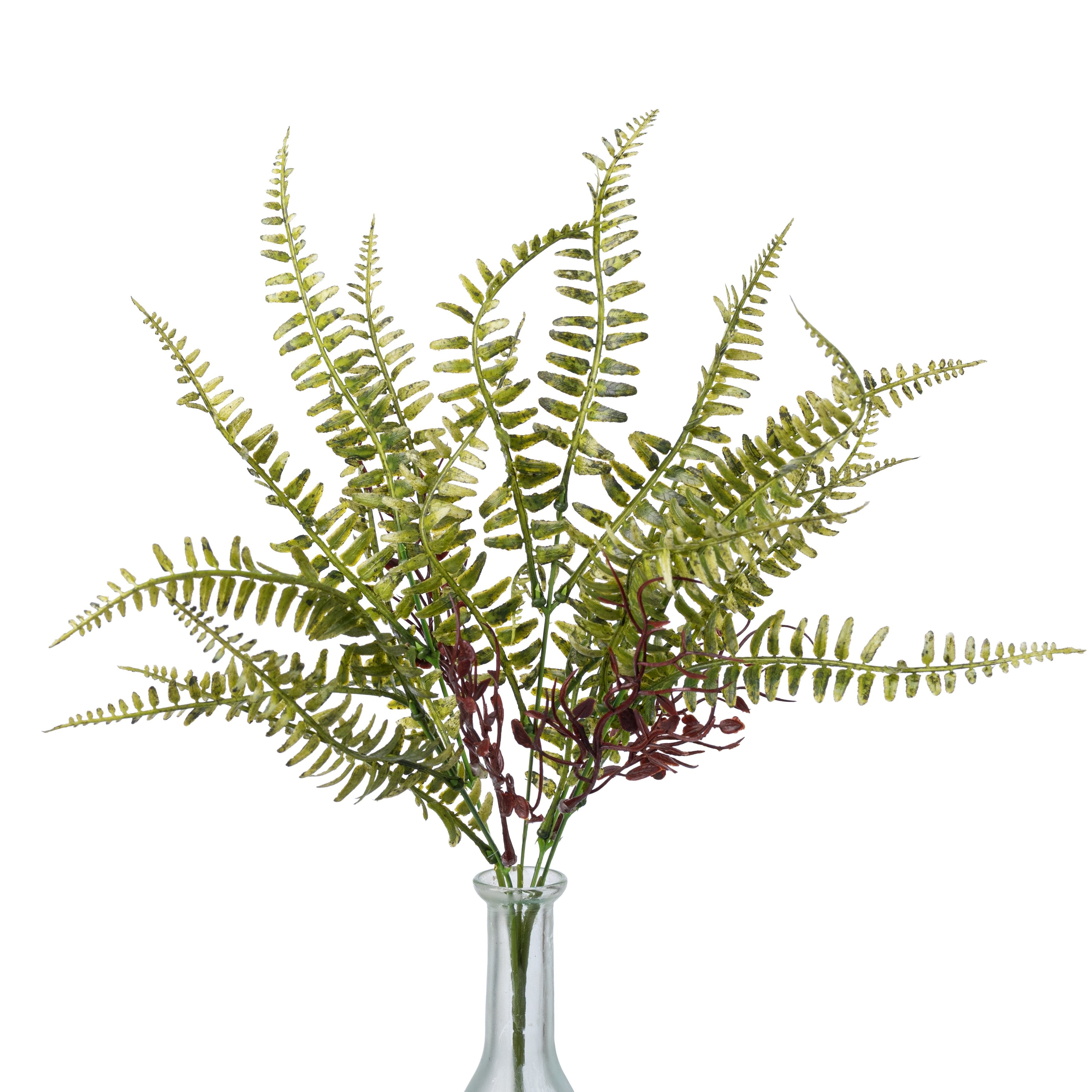 17" Fern with Vines Bush: Variegated Green Item Number: 530908