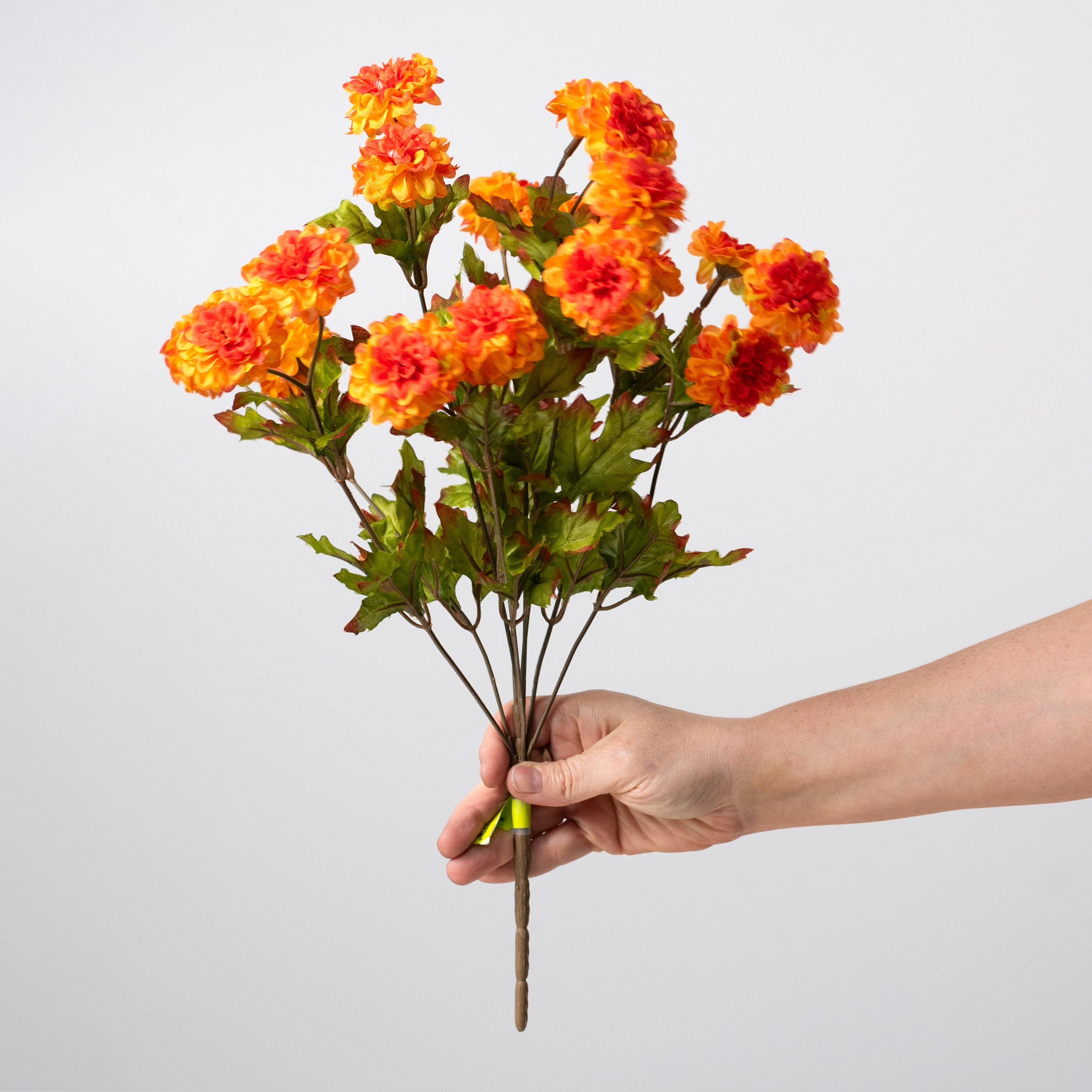 17" Mini Zinnia Bush: Orange (9 Stem) detail photo 3