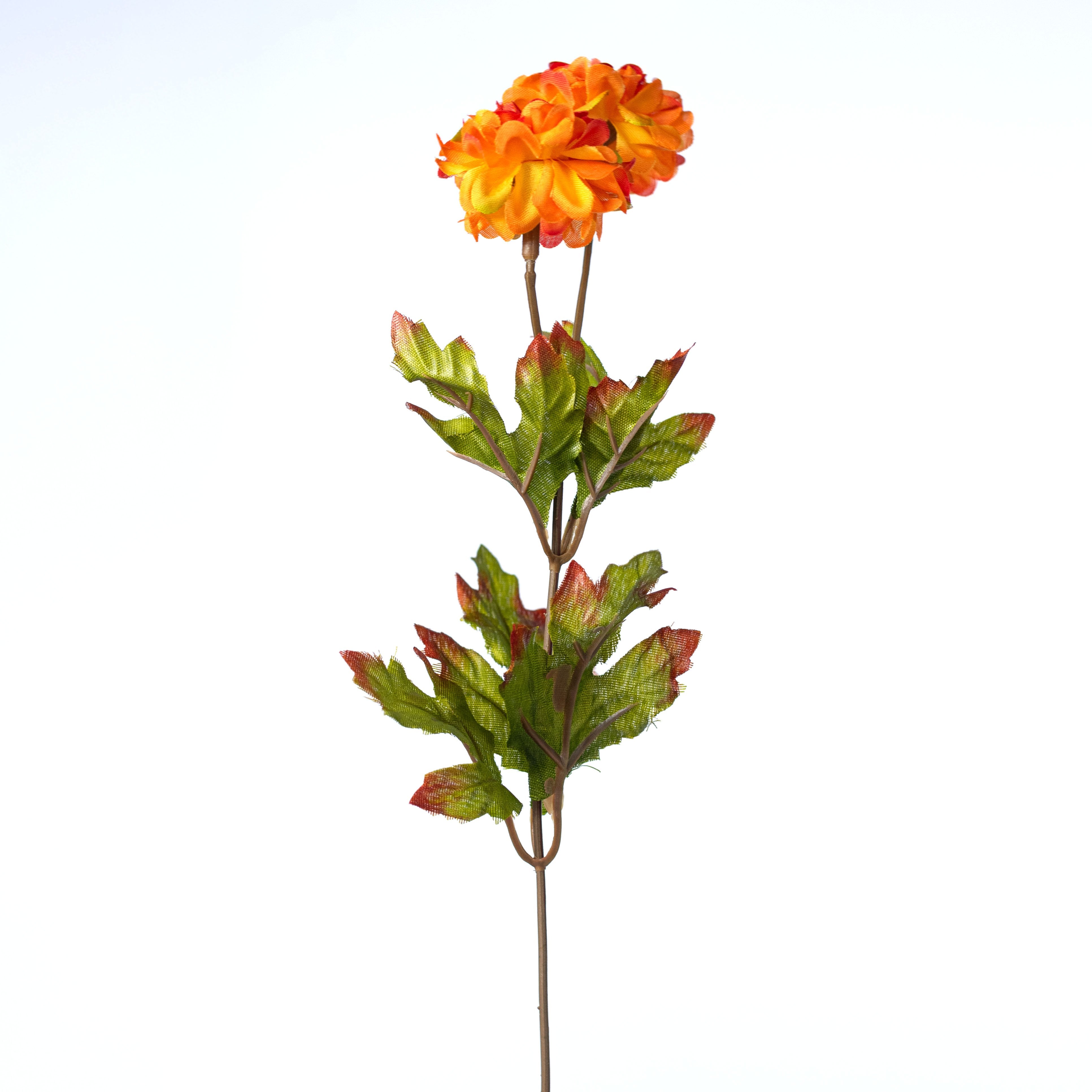 17" Mini Zinnia Bush: Orange (9 Stem) detail photo 5