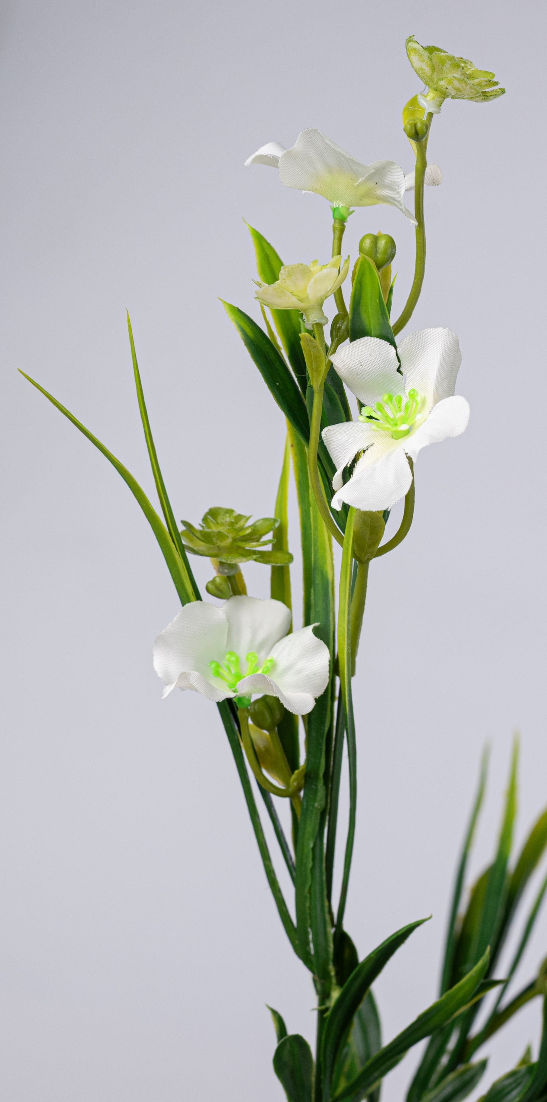 17â Wildflower Filler Bush: White Cream (9 Stem) detail photo 4