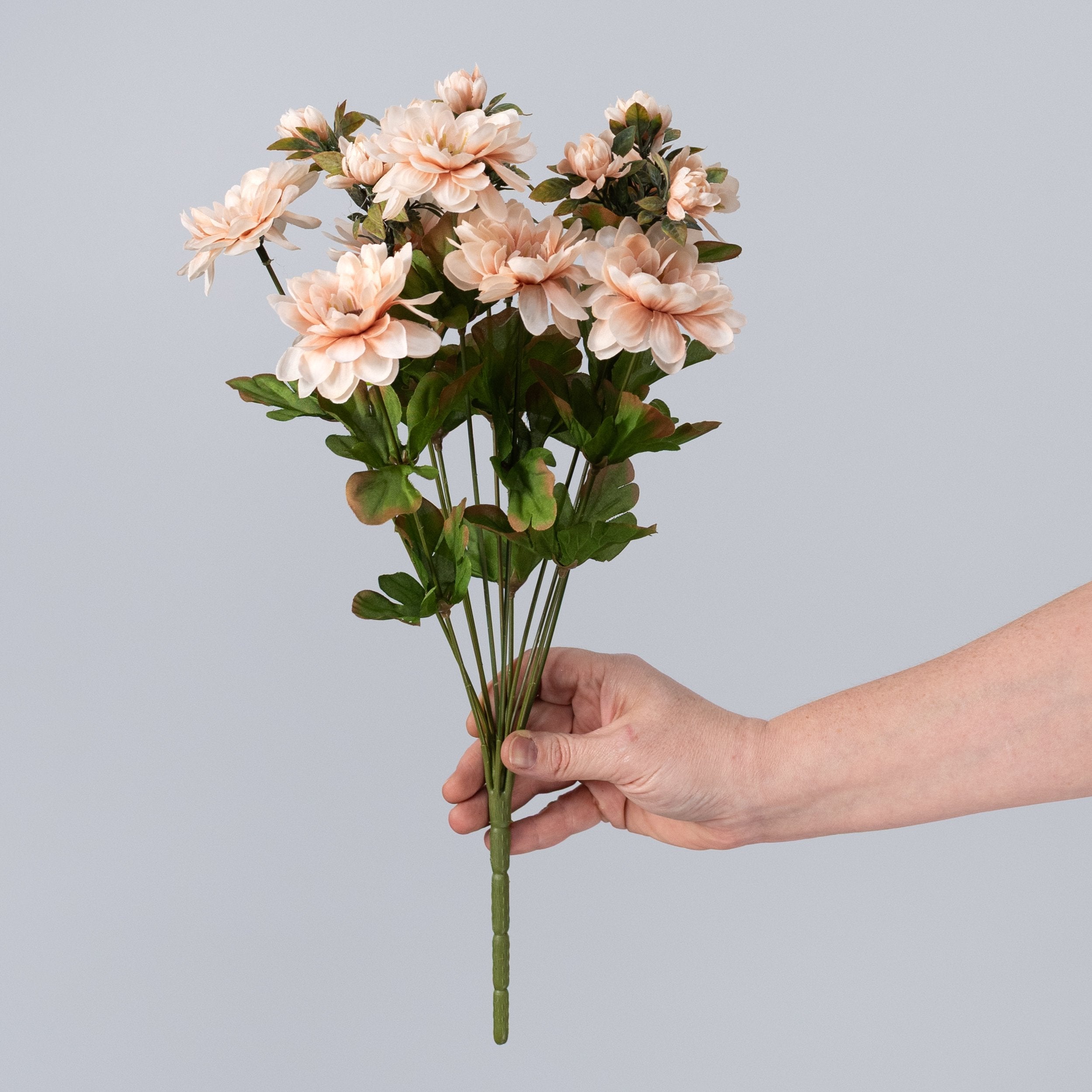 17" Zinnia Bush: Beige (12 Stem) detail photo 3