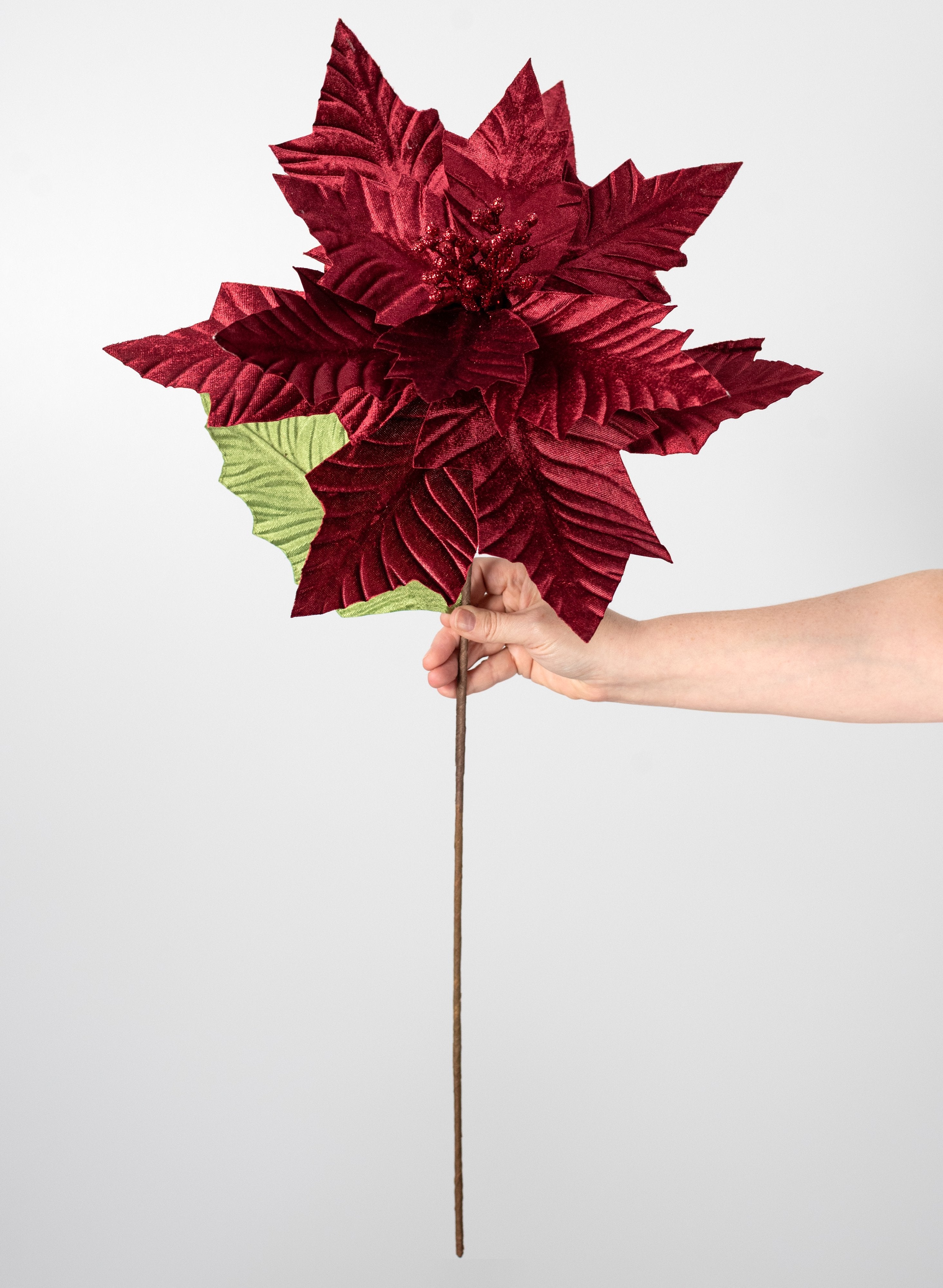 18" x 24" Jumbo Poinsettia Stem: Burgundy detail photo 4