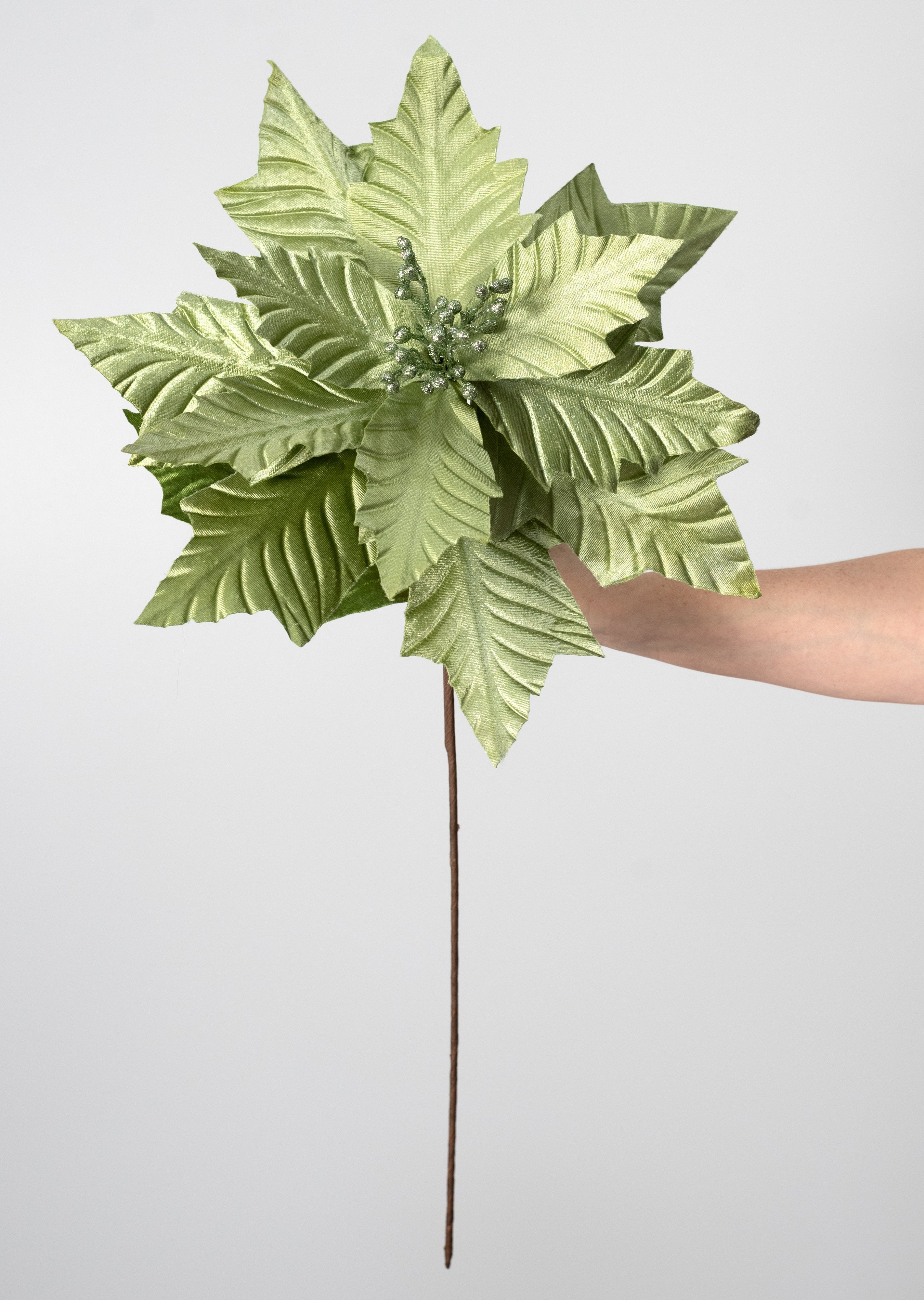 18" x 24" Jumbo Poinsettia Stem: Sage Green detail photo 4
