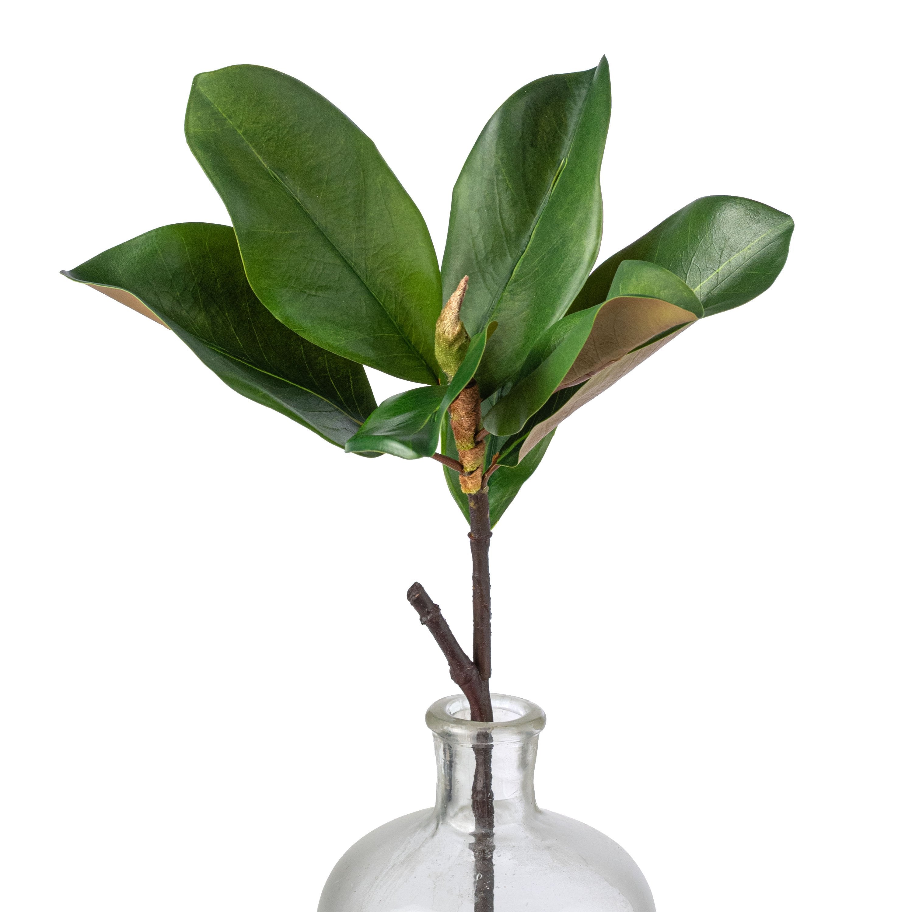 18" Artificial Magnolia Leaf Spray: Green Item Number: 2310460GR