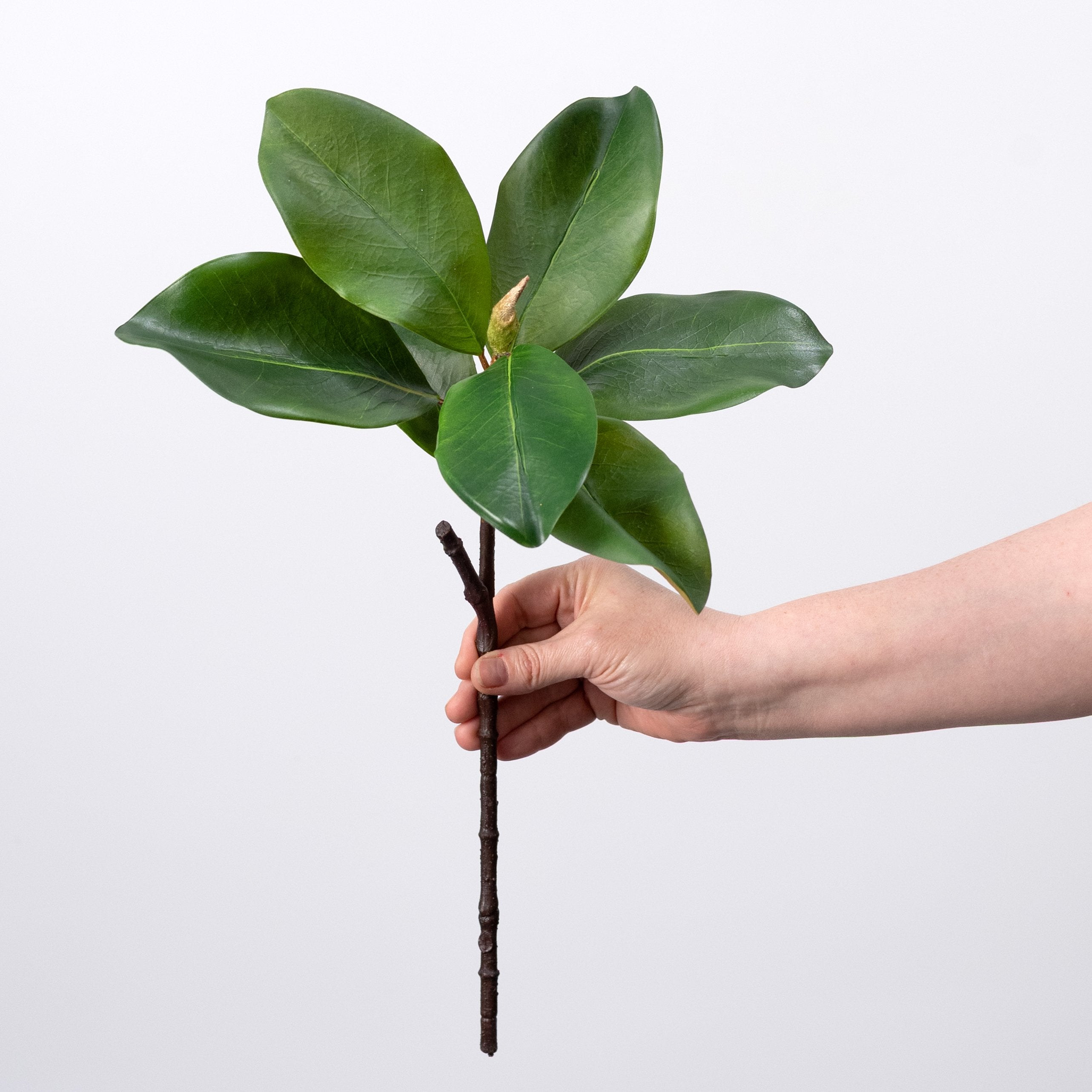 18" Artificial Magnolia Leaf Spray: Green detail photo 3