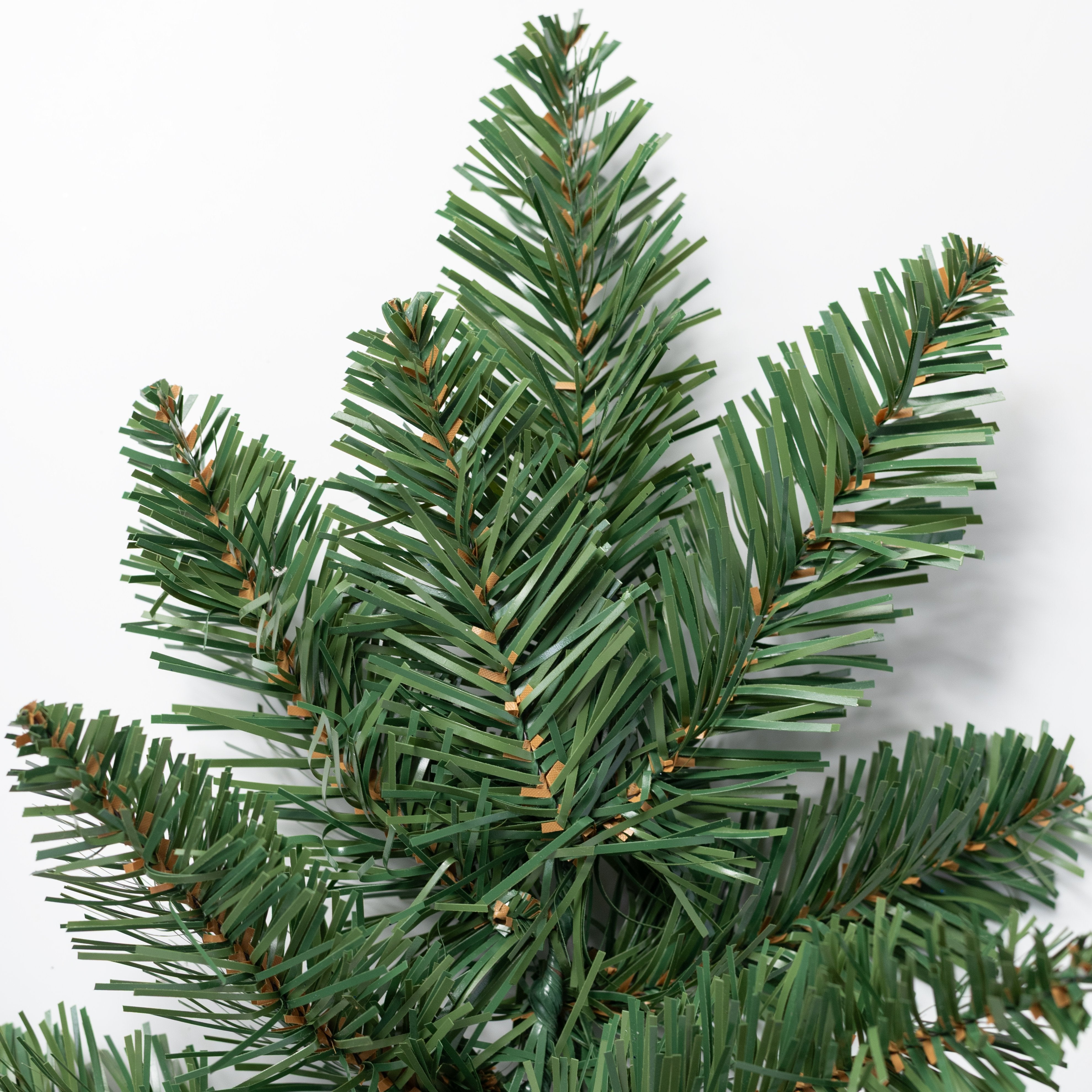 18" Concord Pine Pick: Evergreen (9 Tips) Lifestyle Photo