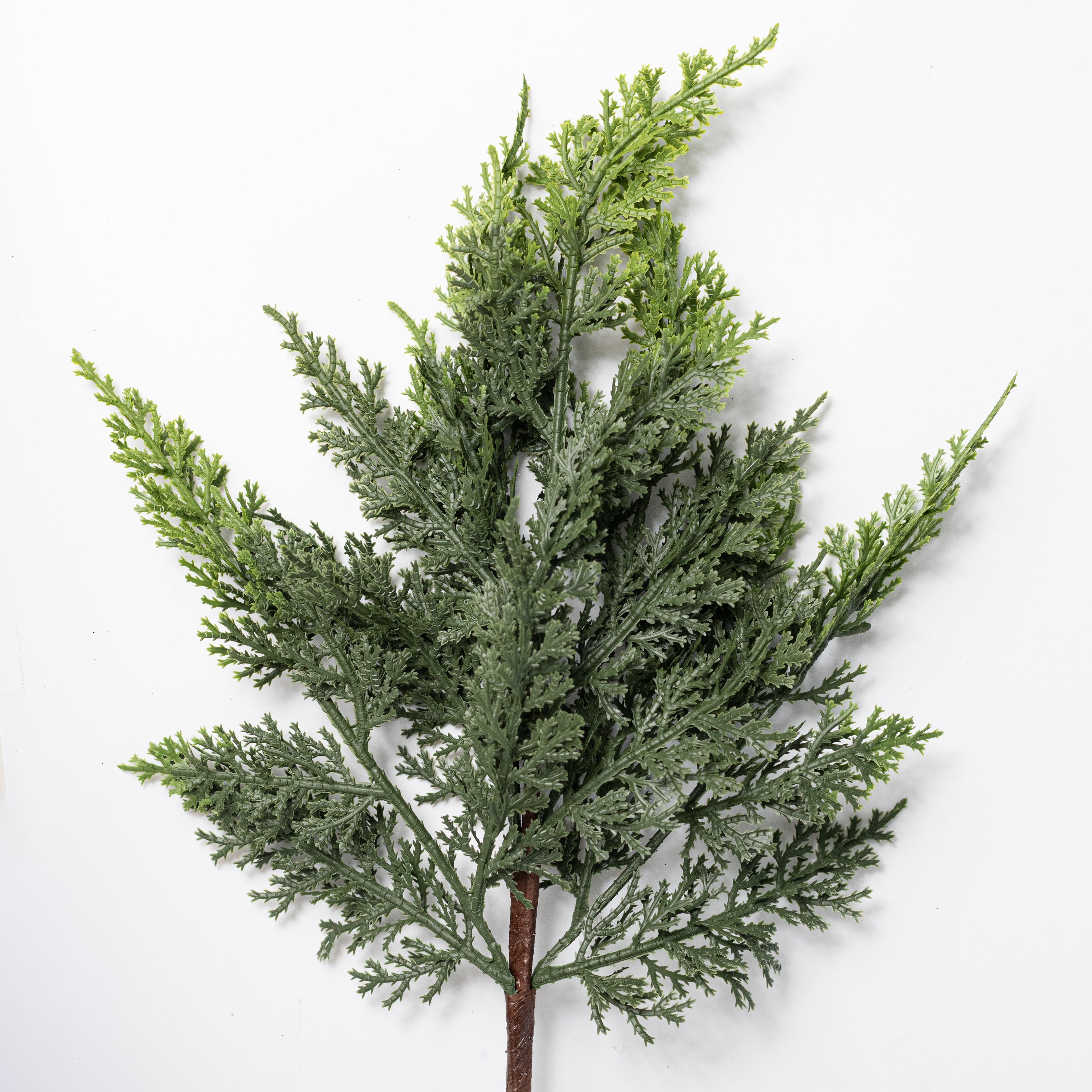 18" Cypress Pick Bundle: Variegated Green (3) Lifestyle Photo