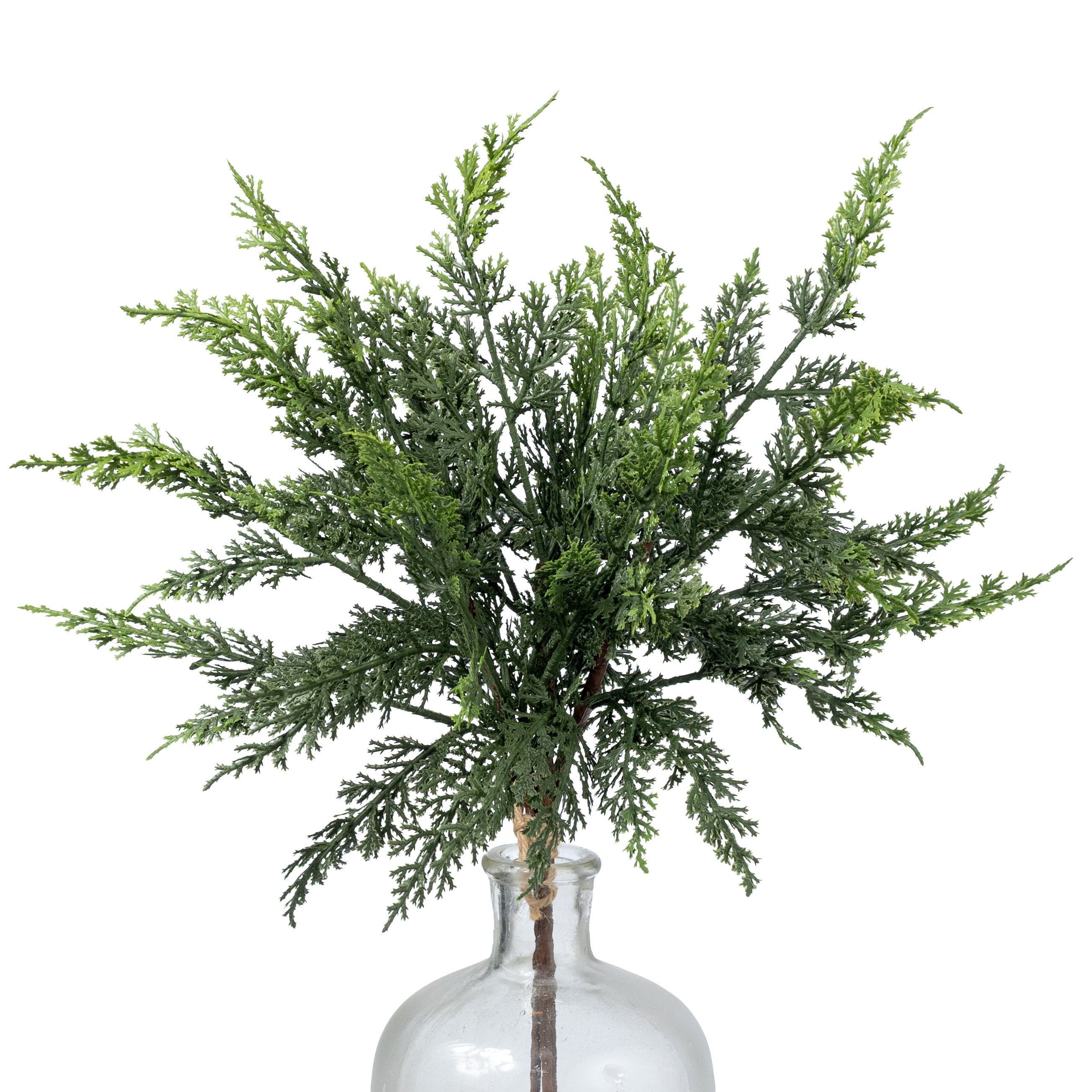 18" Cypress Pick Bundle: Variegated Green (3) Item Number: 2825319VG