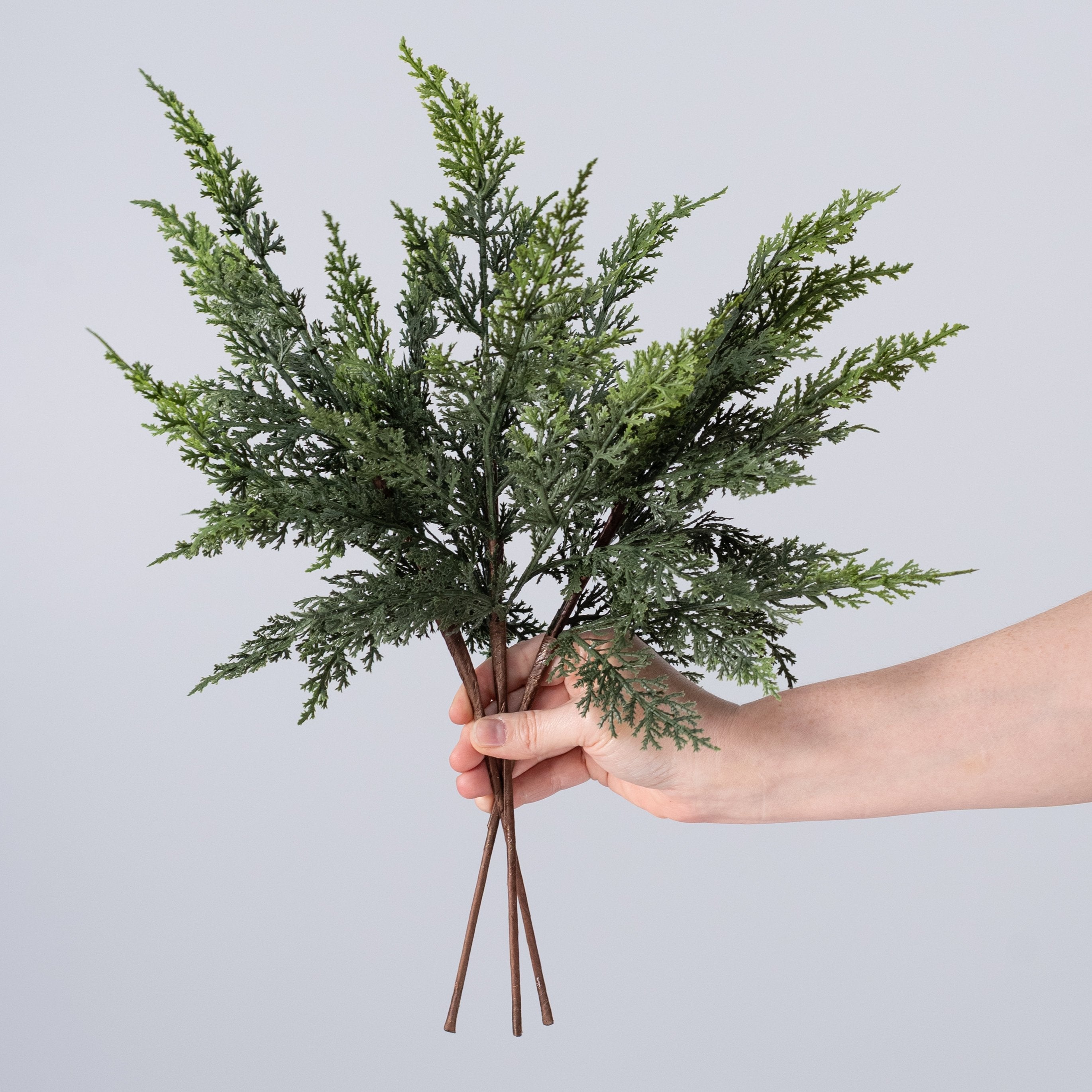 18" Cypress Pick Bundle: Variegated Green (3) detail photo 3