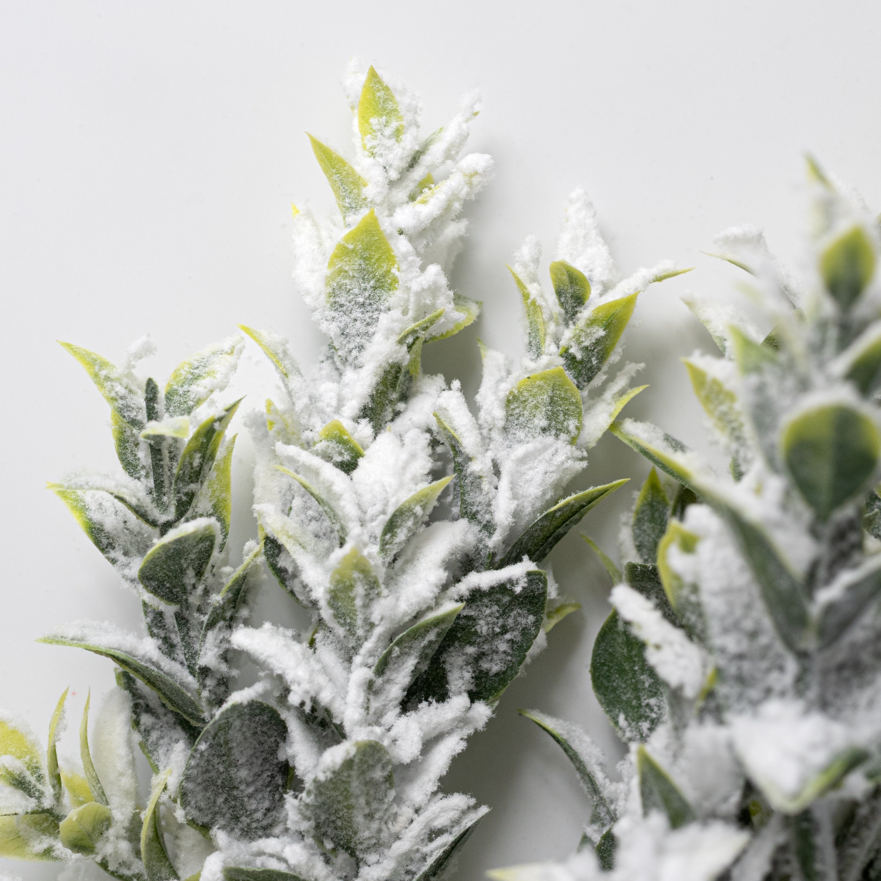 18" Flocked Tea Leaf Bush (7 Stem) Lifestyle Photo