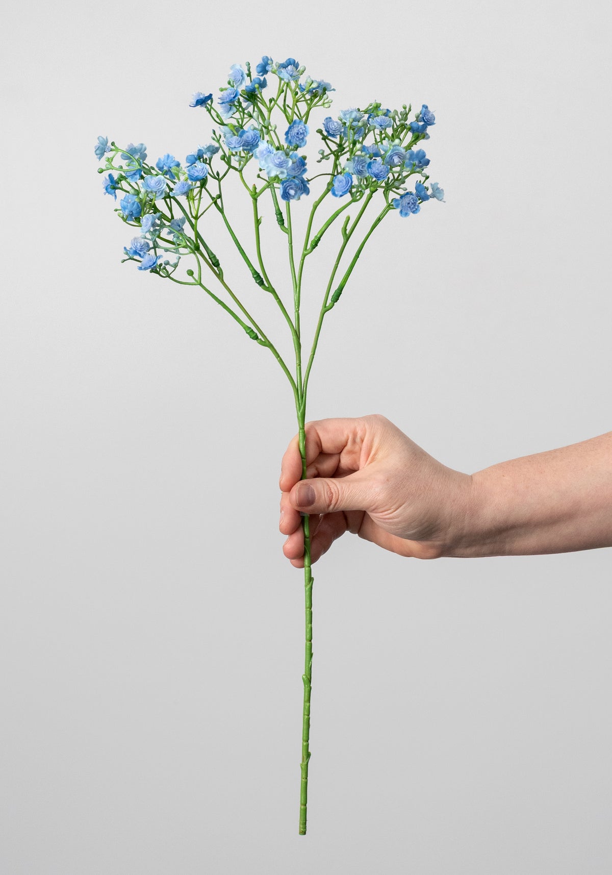 18" Gypso Baby's Breath Spray: Blue detail photo 3