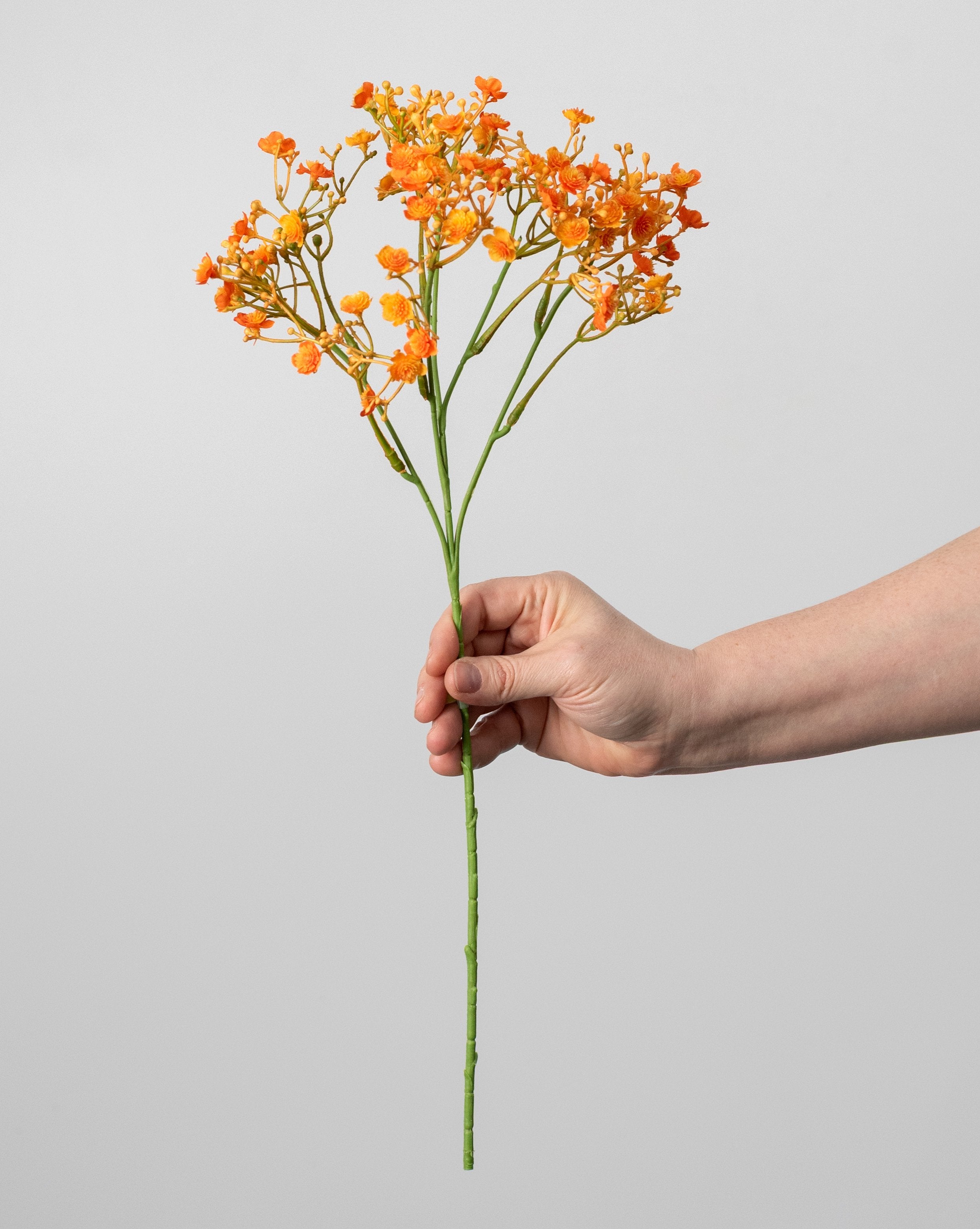 18" Gypso Baby's Breath Spray: Orange detail photo 3