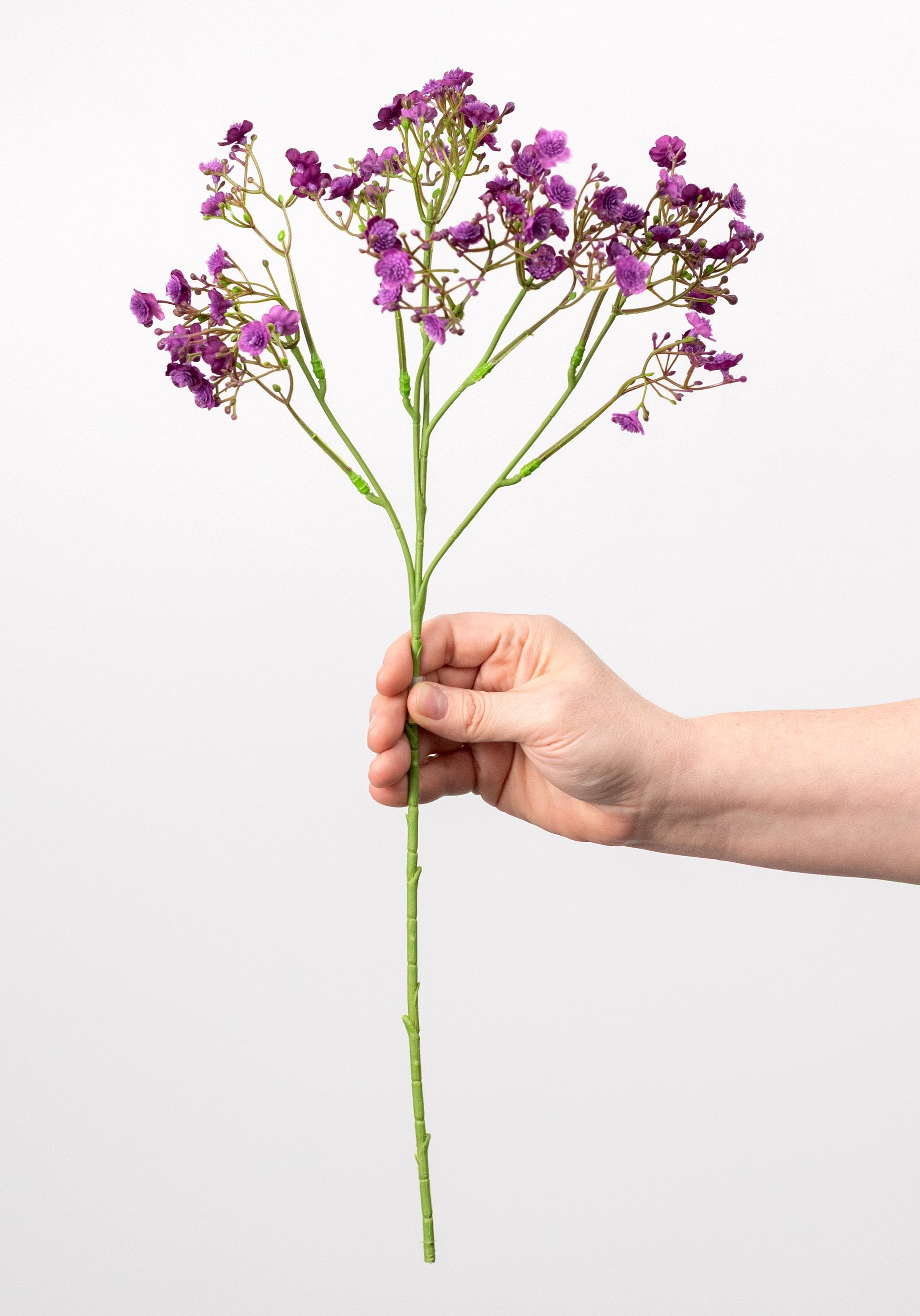 18" Gypso Baby's Breath Spray: Purple detail photo 3