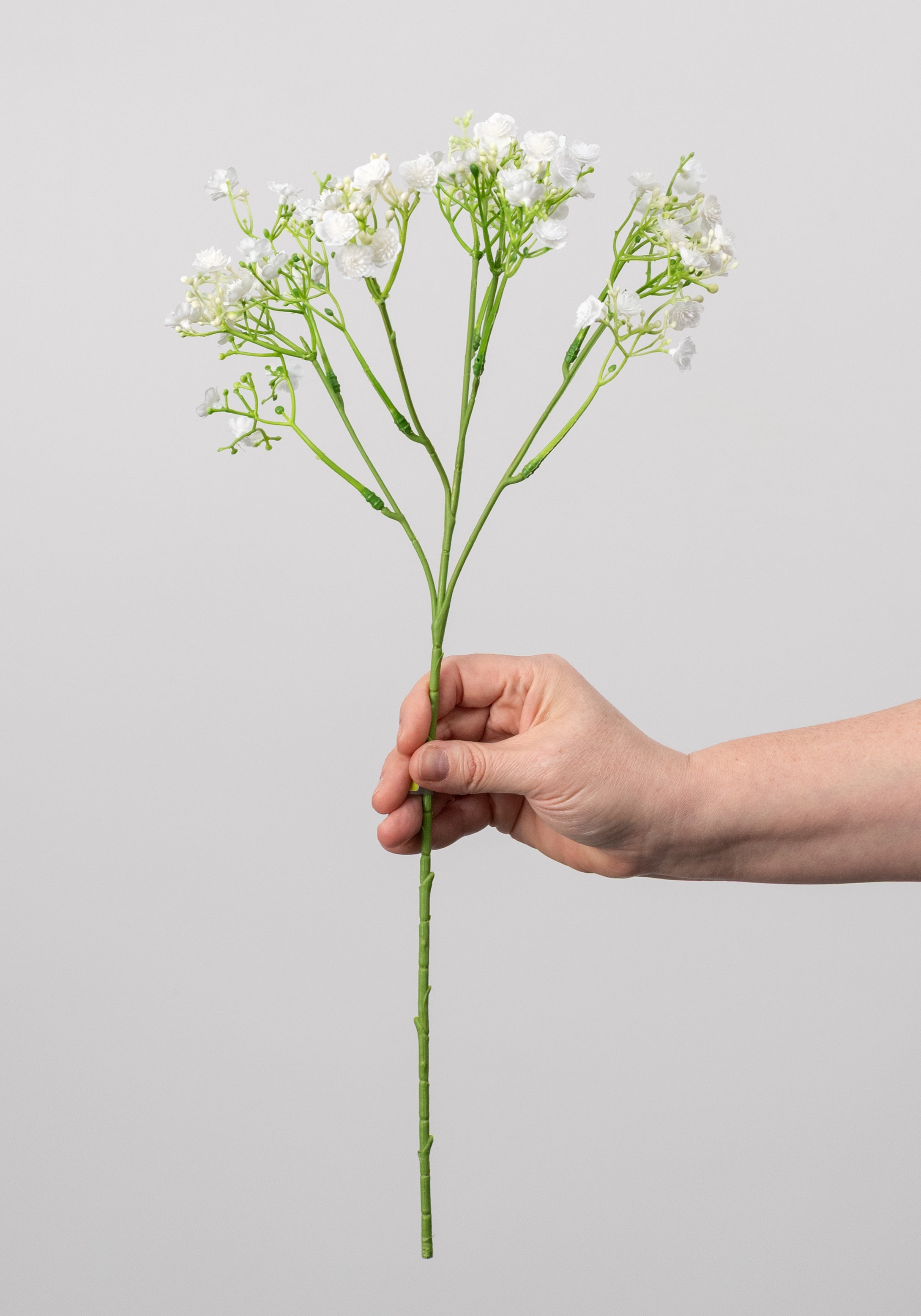 18" Gypso Baby's Breath Spray: White Cream detail photo 3
