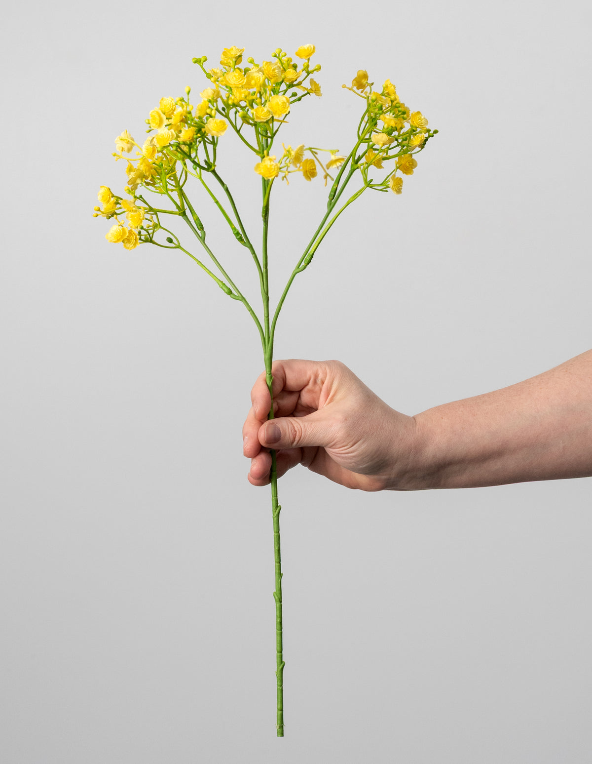 18" Gypso Baby's Breath Spray: Yellow detail photo 3