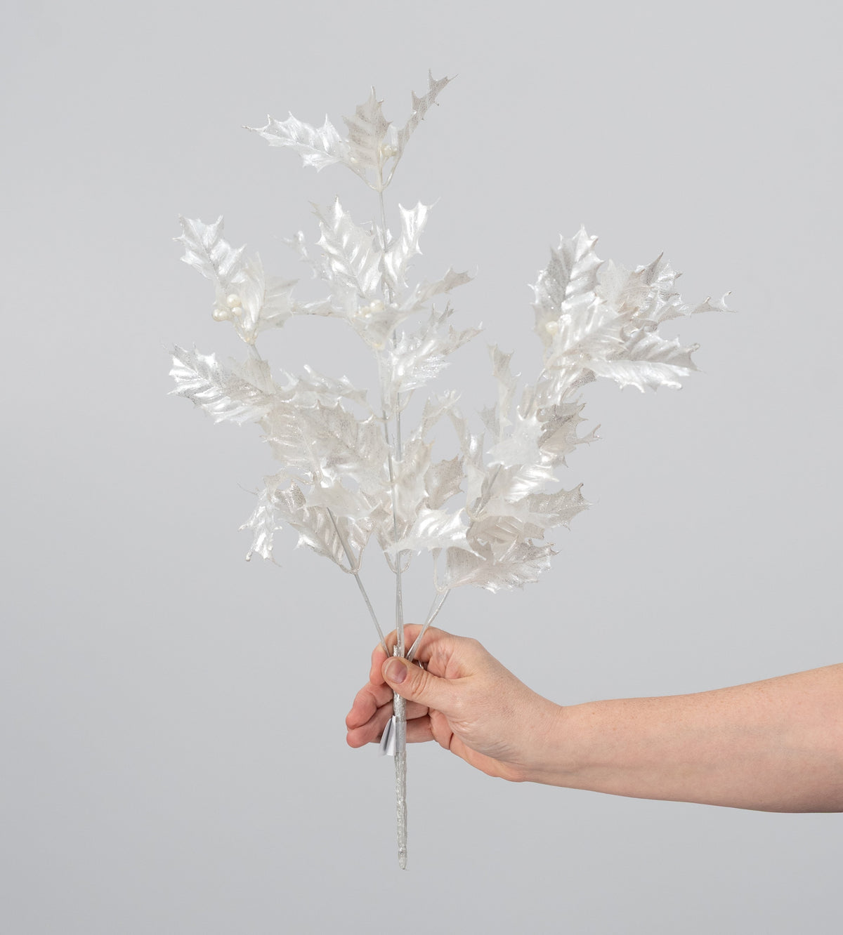 18" Holly Leaf Bush: Pearl White & Silver (5 Stem) detail photo 3