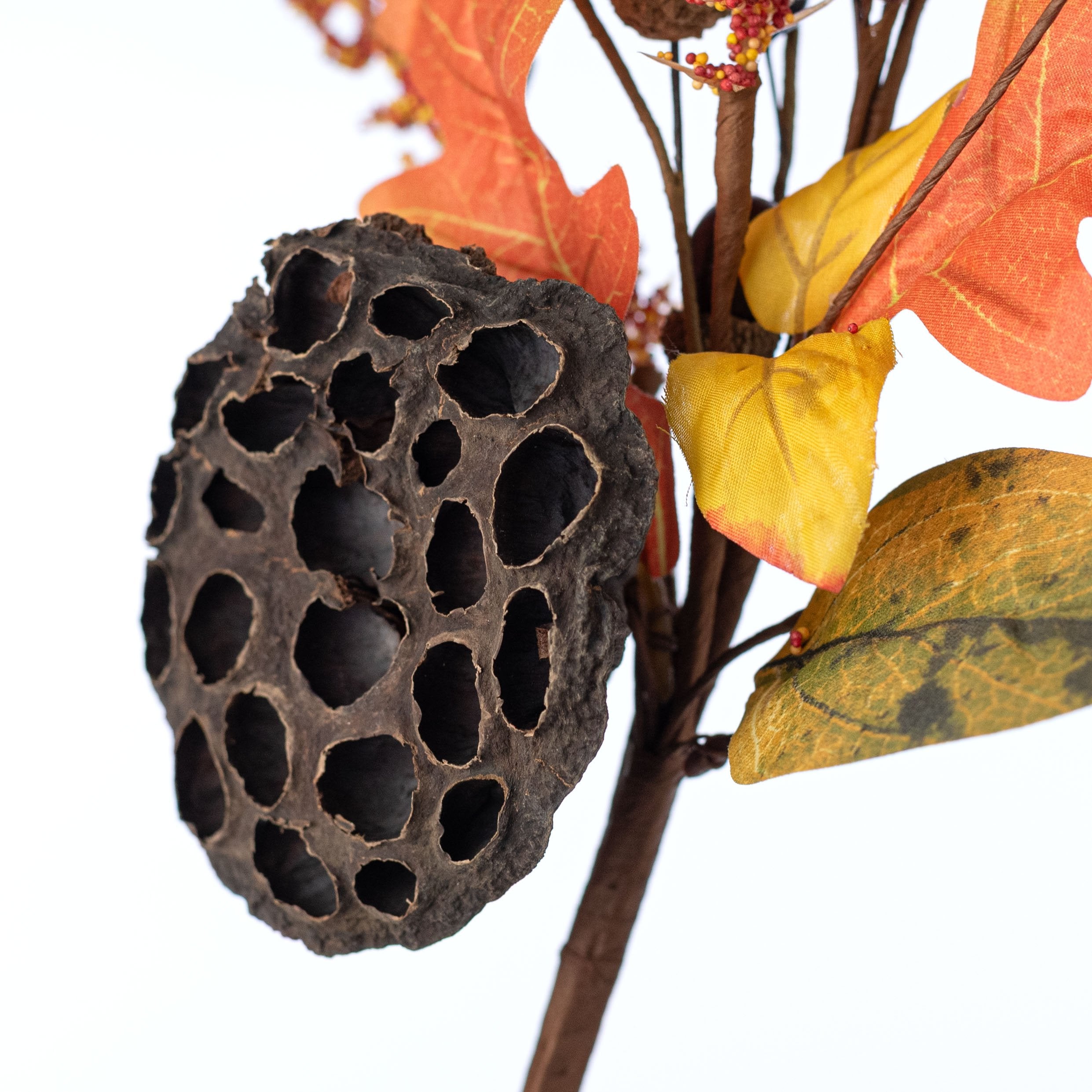 18" Lotus Pod & Fall Leaves Pick Lifestyle Photo