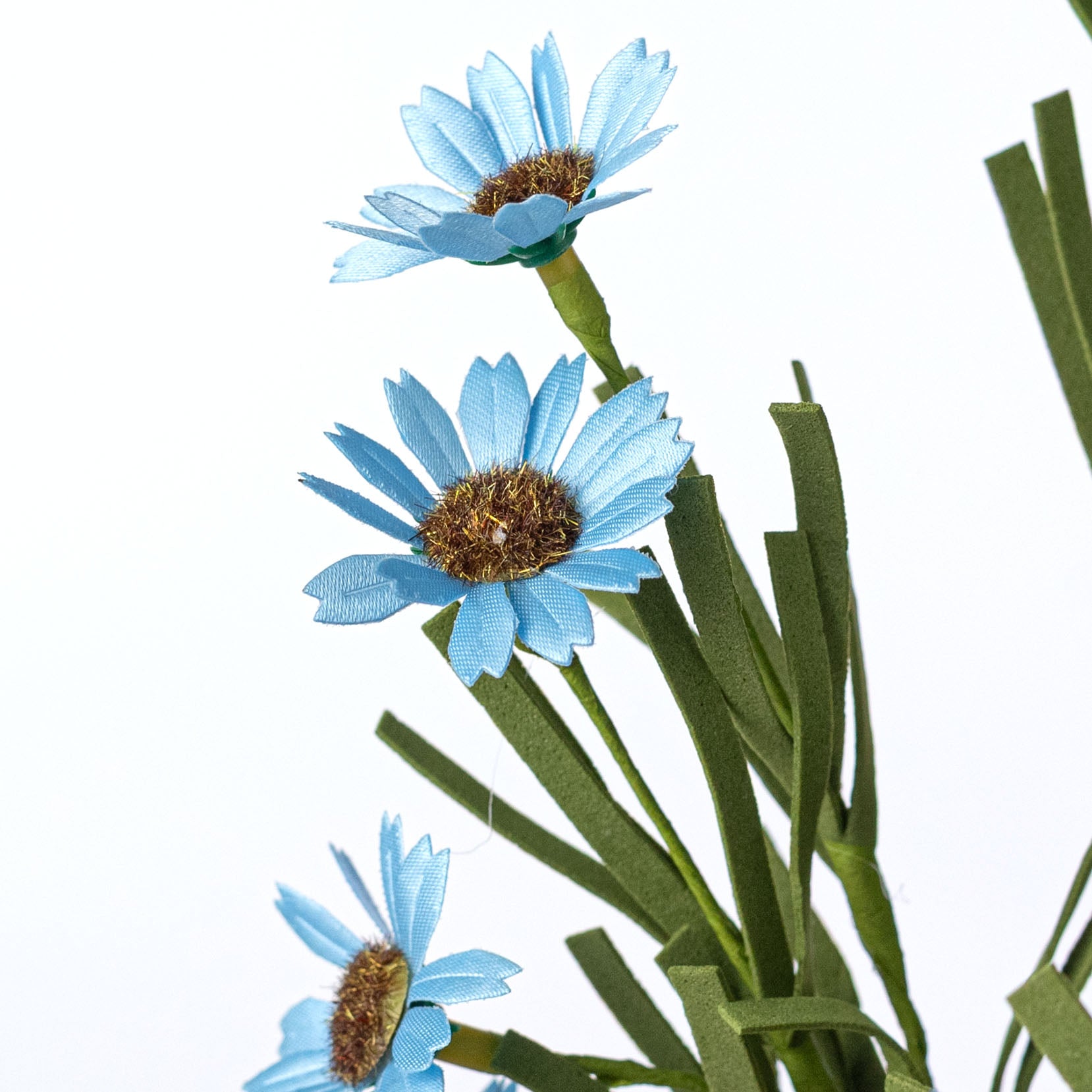 18" Mini Mountain Daisy Bush: Blue Lifestyle Photo